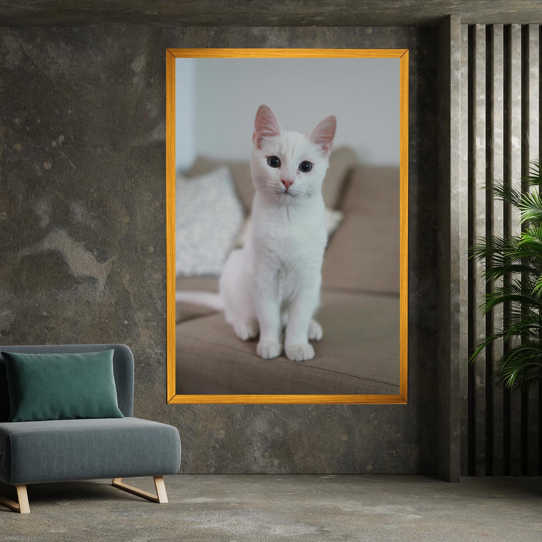 Leinwandbild Beautiful White Cat mockup 7
