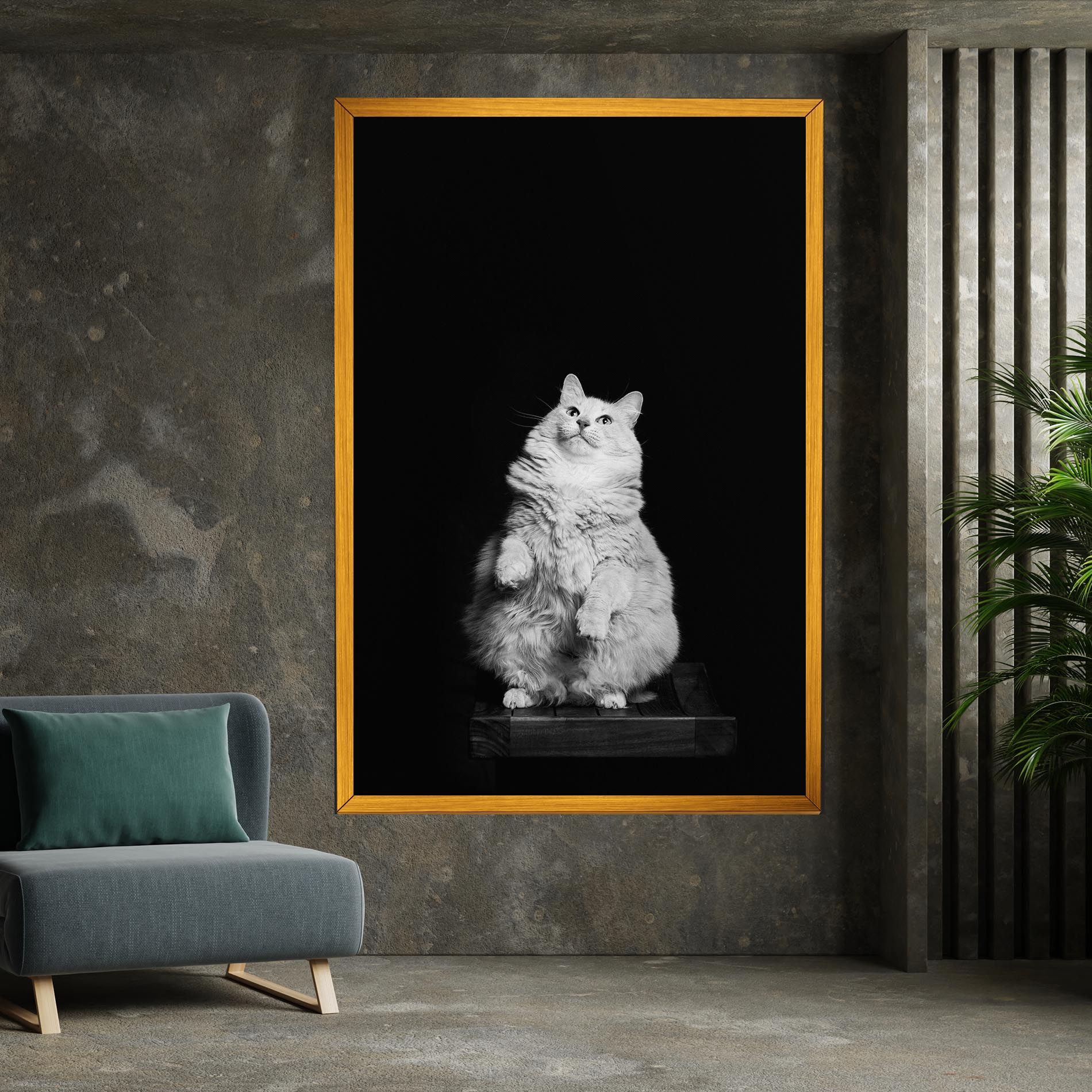 Big Fluffy Cat mockup 7
