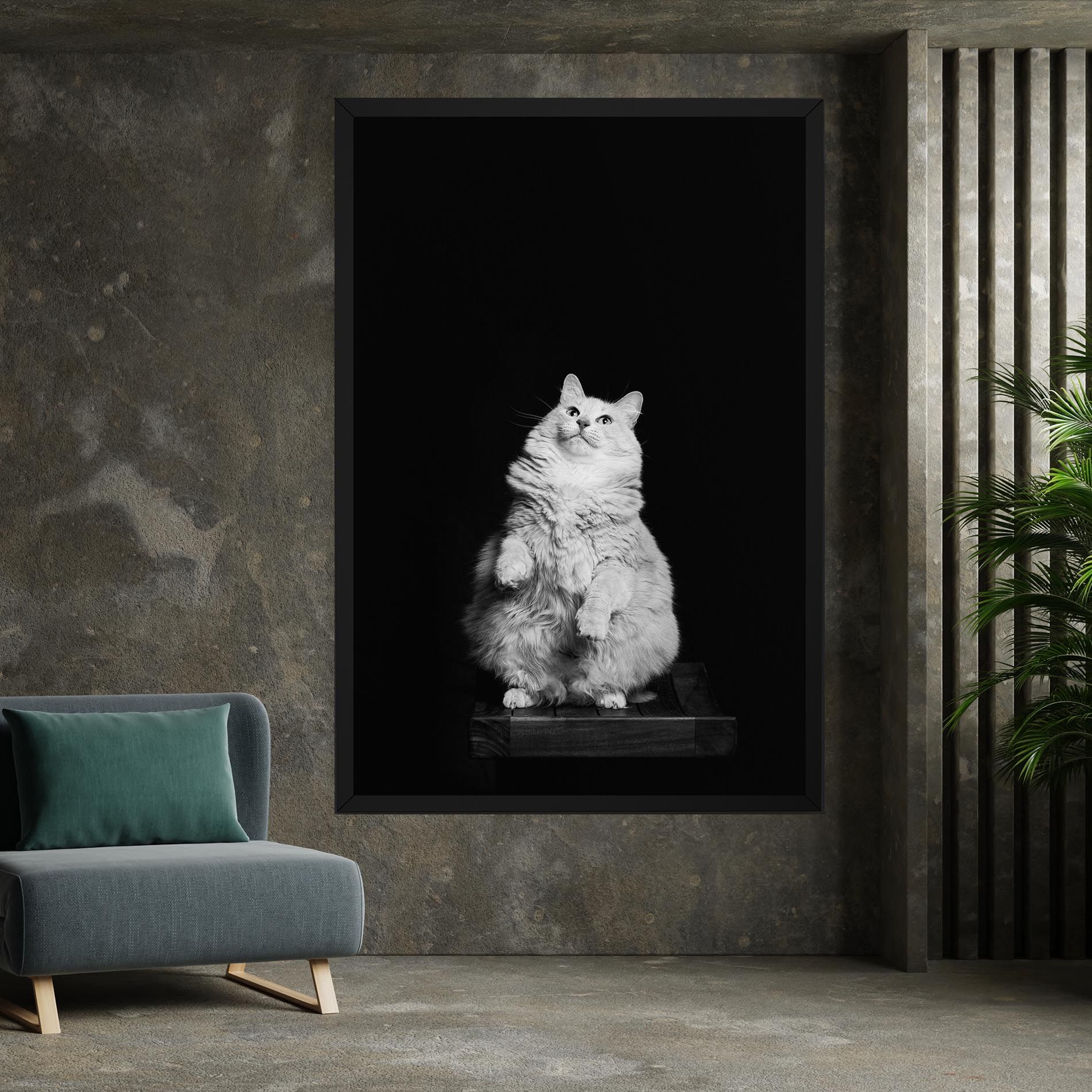 Big Fluffy Cat mockup 7
