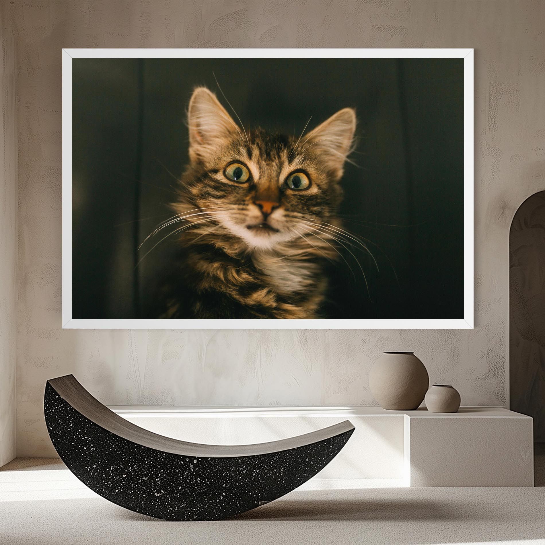 Amazed Cat mockup 8