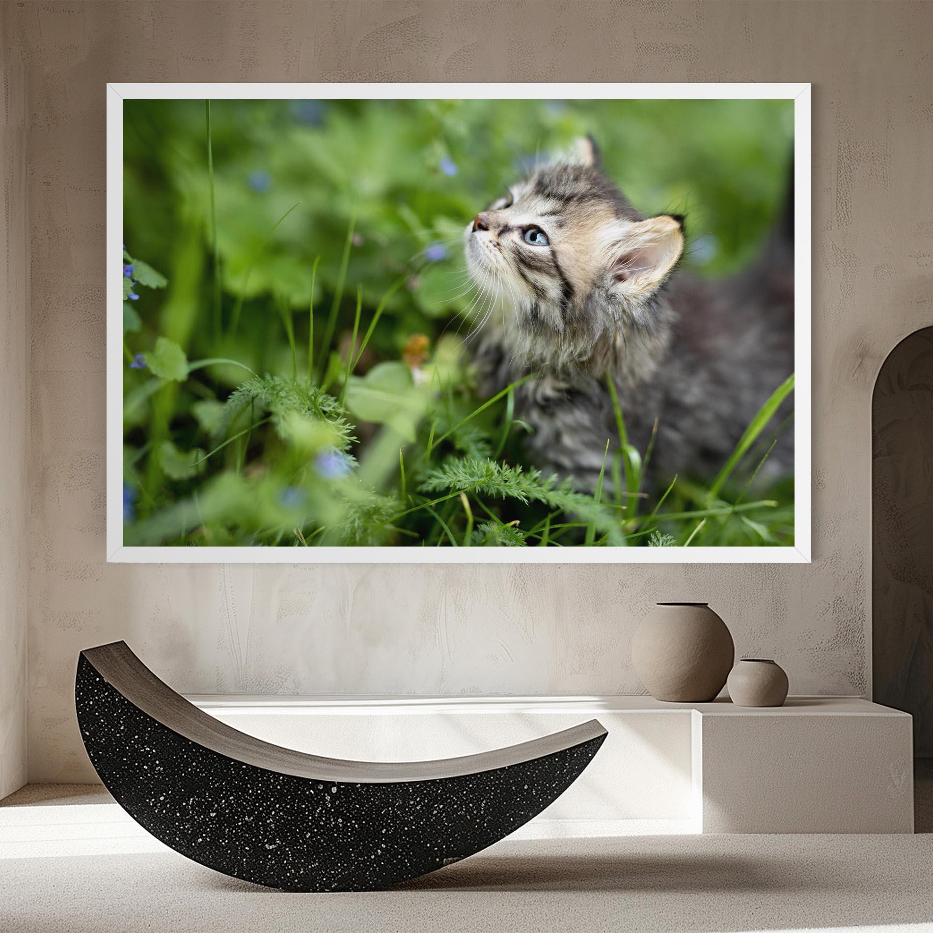 Leinwandbild Brown Baby Cat mockup 8