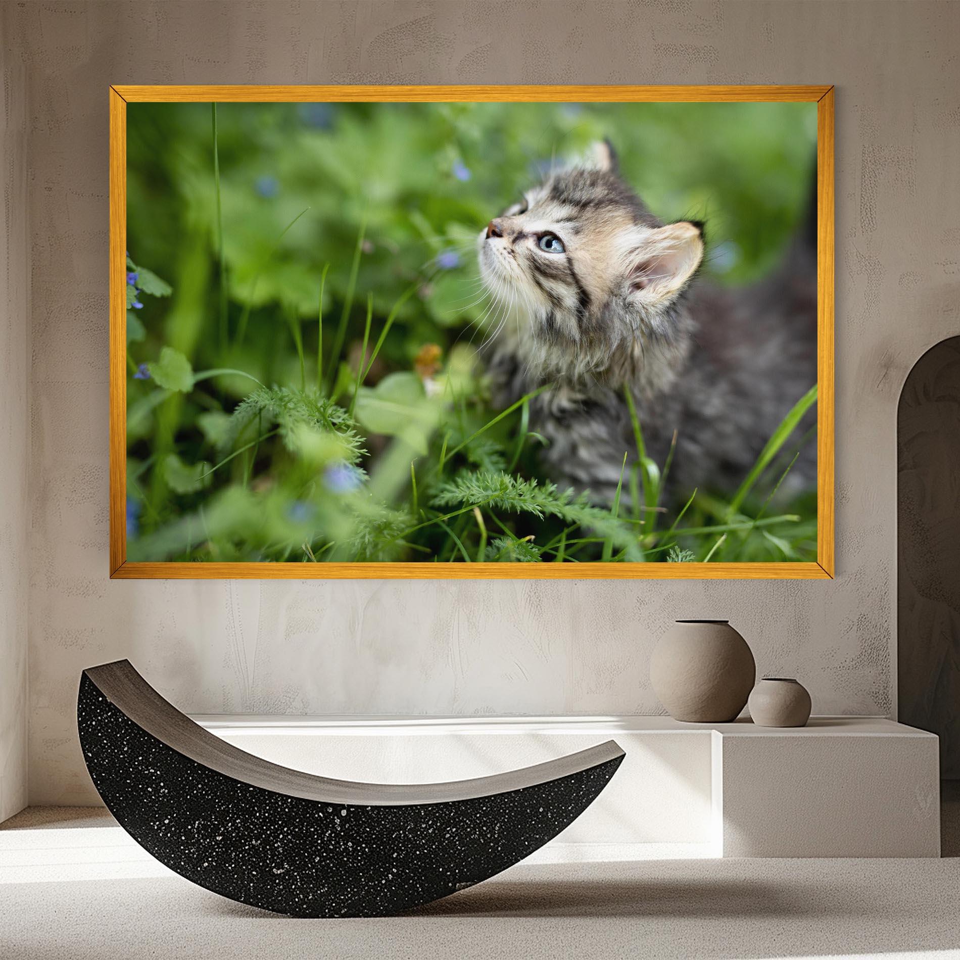 Leinwandbild Brown Baby Cat mockup 8