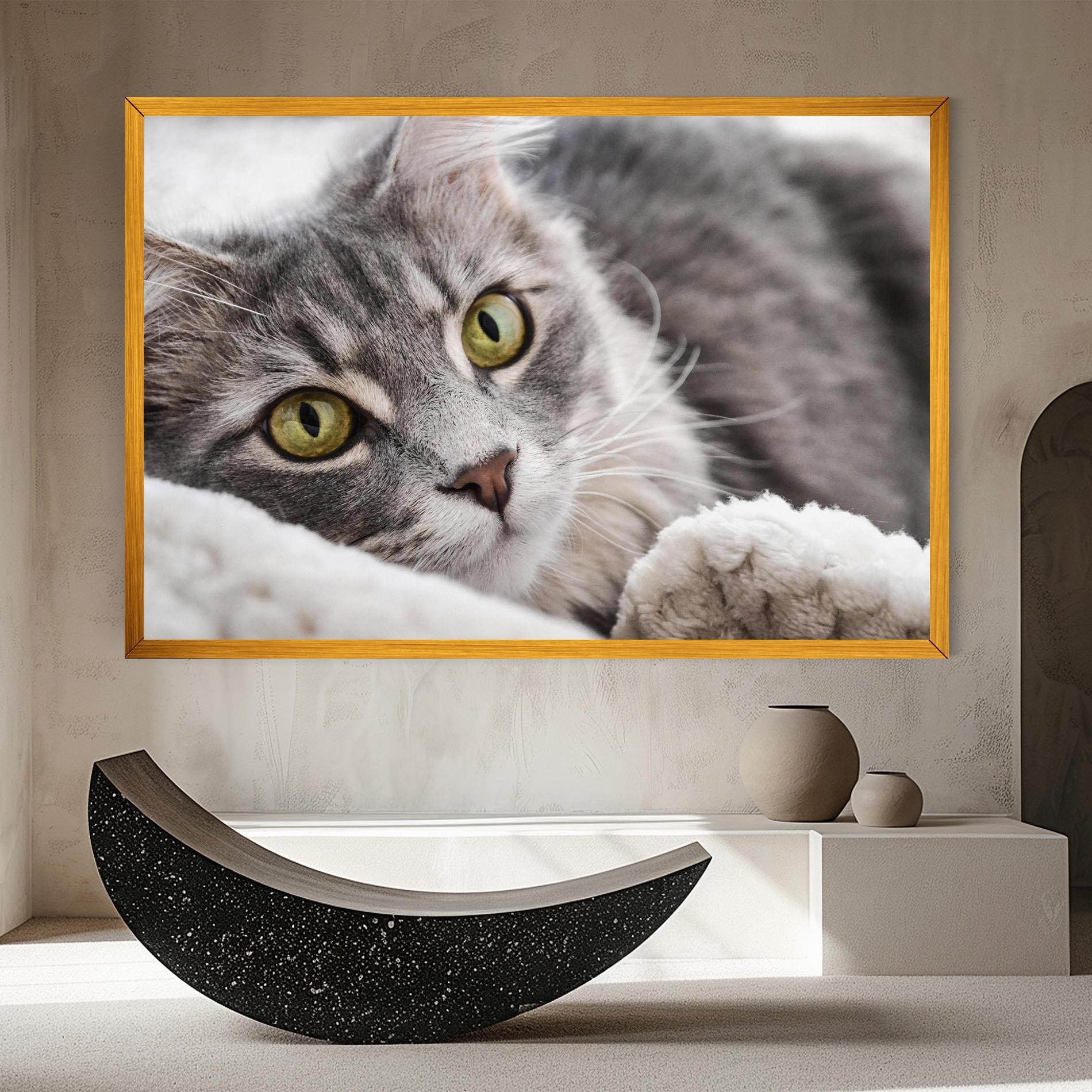 Leinwandbild Grey Fluffy Cat mockup 8