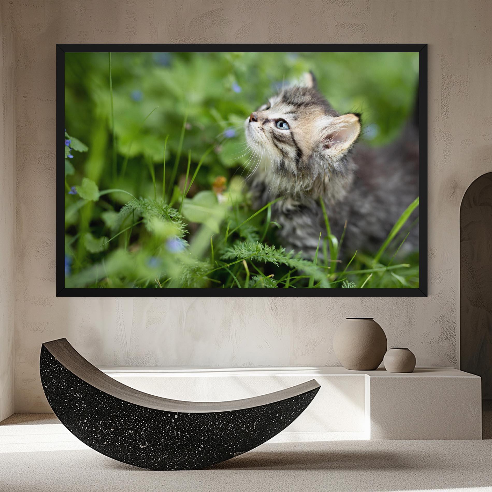 Leinwandbild Brown Baby Cat mockup 8