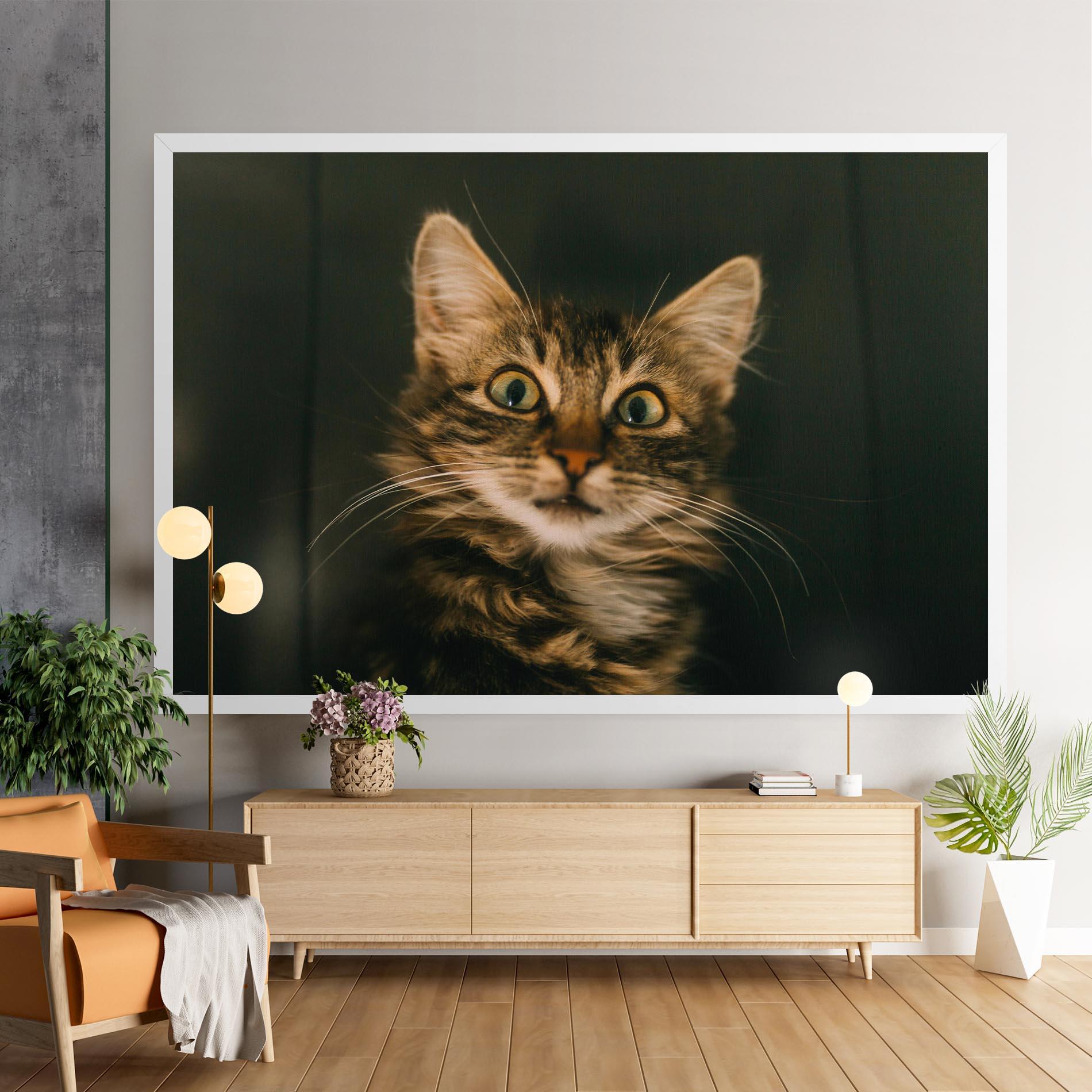 Leinwandbild Amazed Cat mockup 9