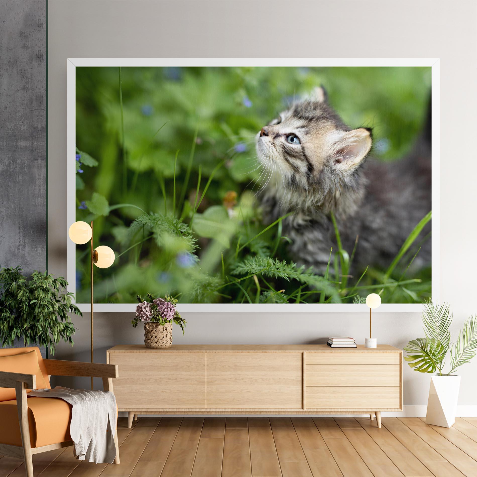 Leinwandbild Brown Baby Cat mockup 9