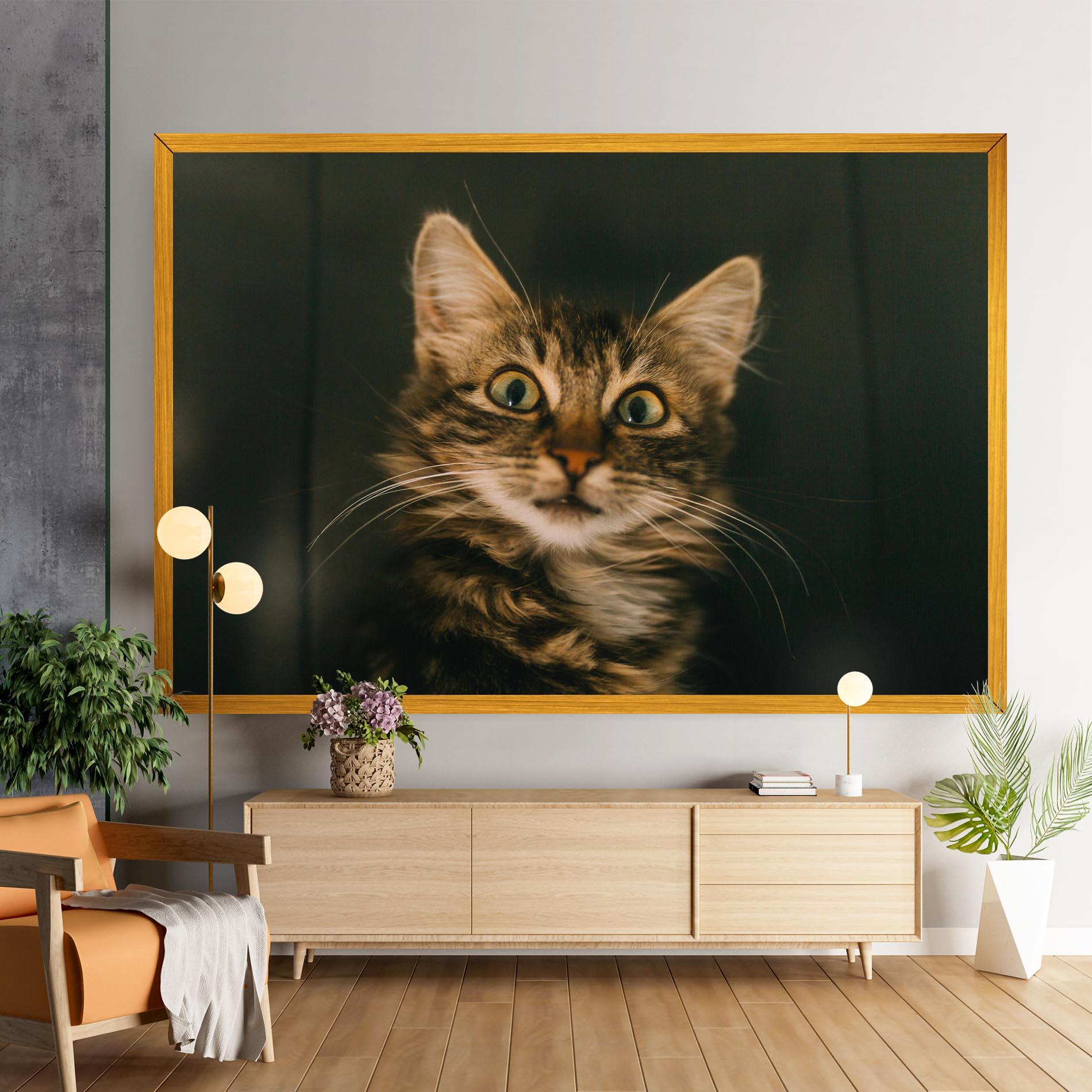 Leinwandbild Amazed Cat mockup 9