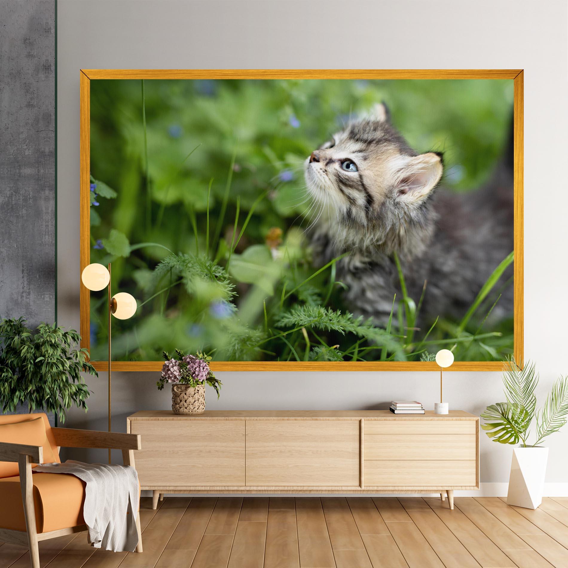 Leinwandbild Brown Baby Cat mockup 9