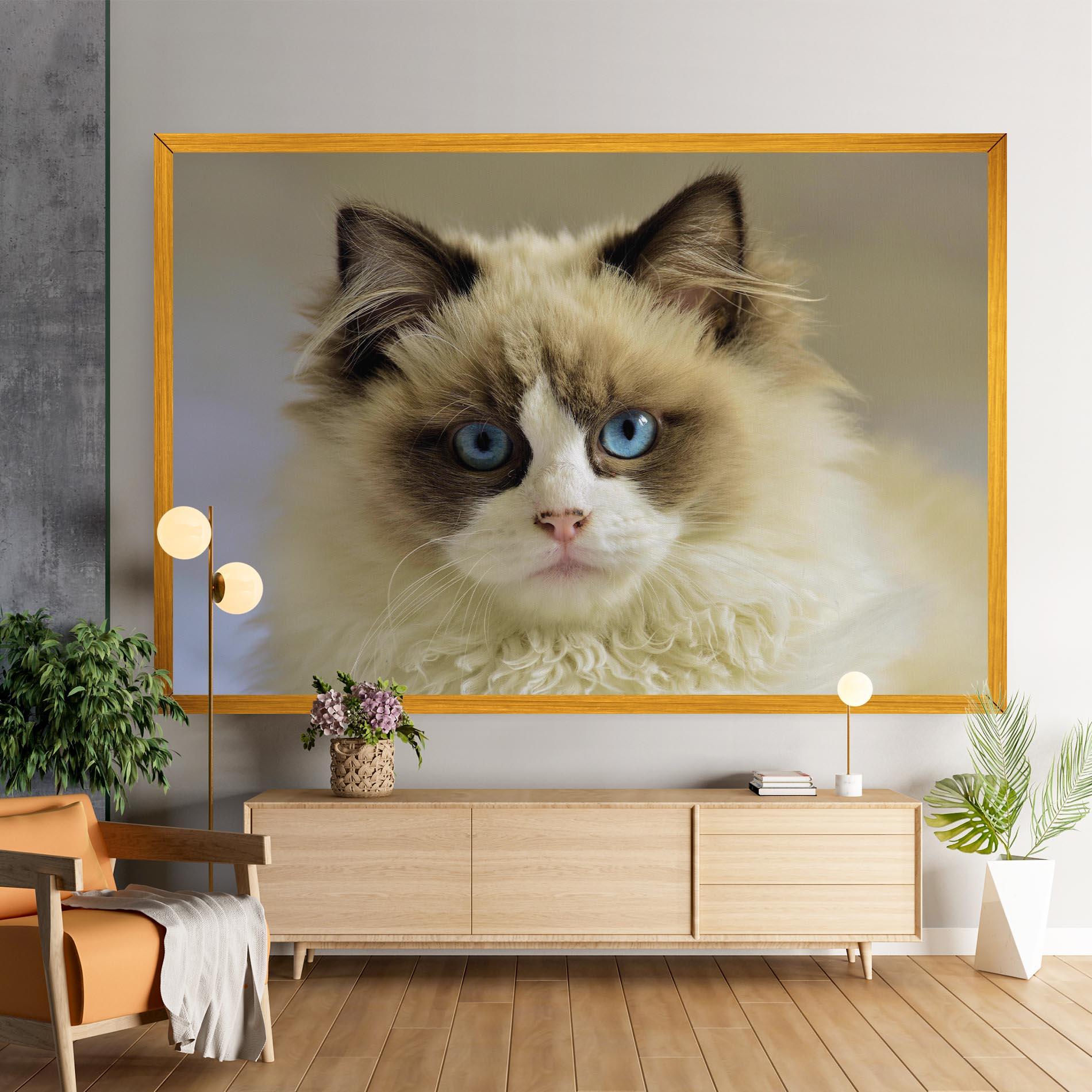 Leinwandbild Interesting Blue Eyes Cat mockup 9