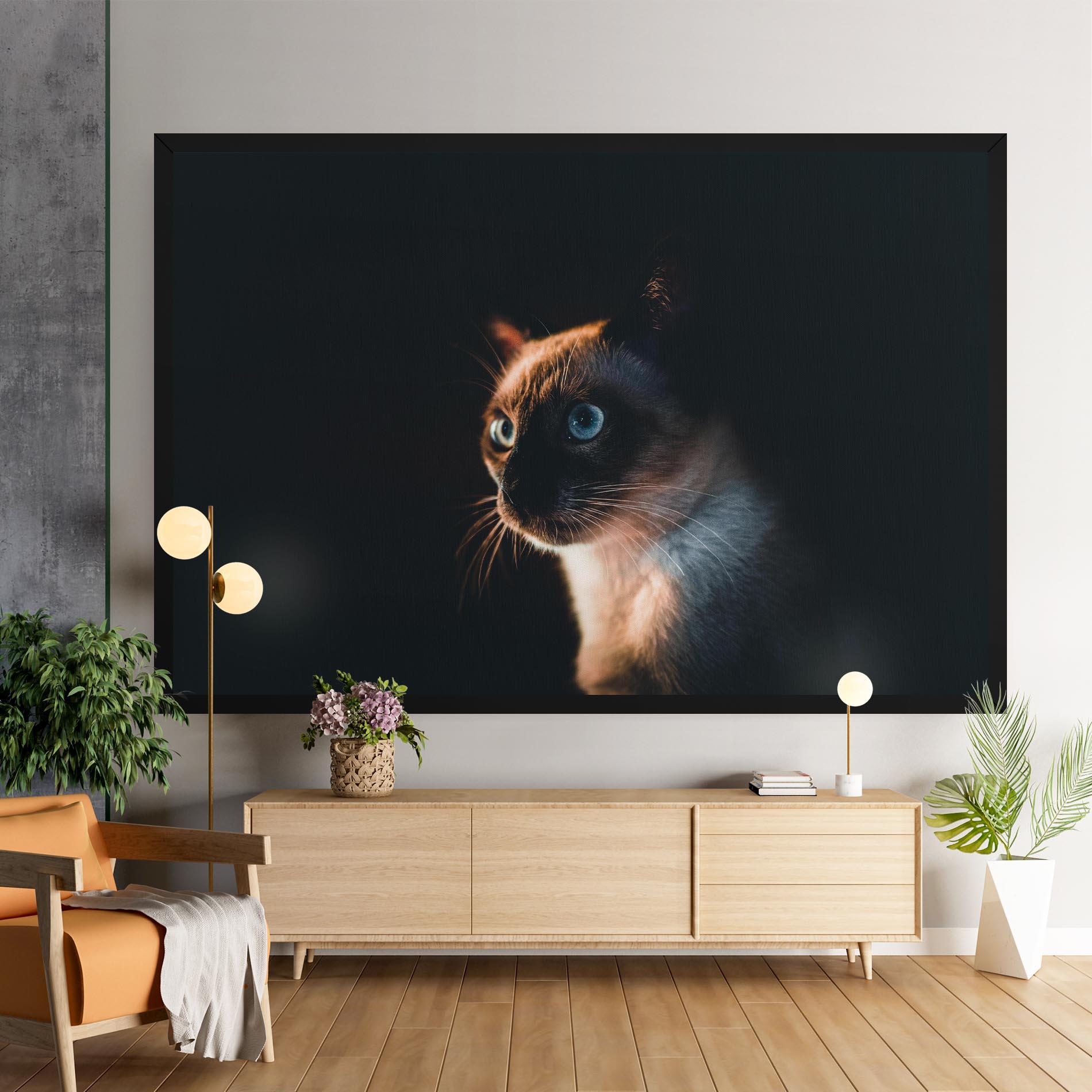 Leinwandbild Blue Eyes Cat In Dark mockup 9