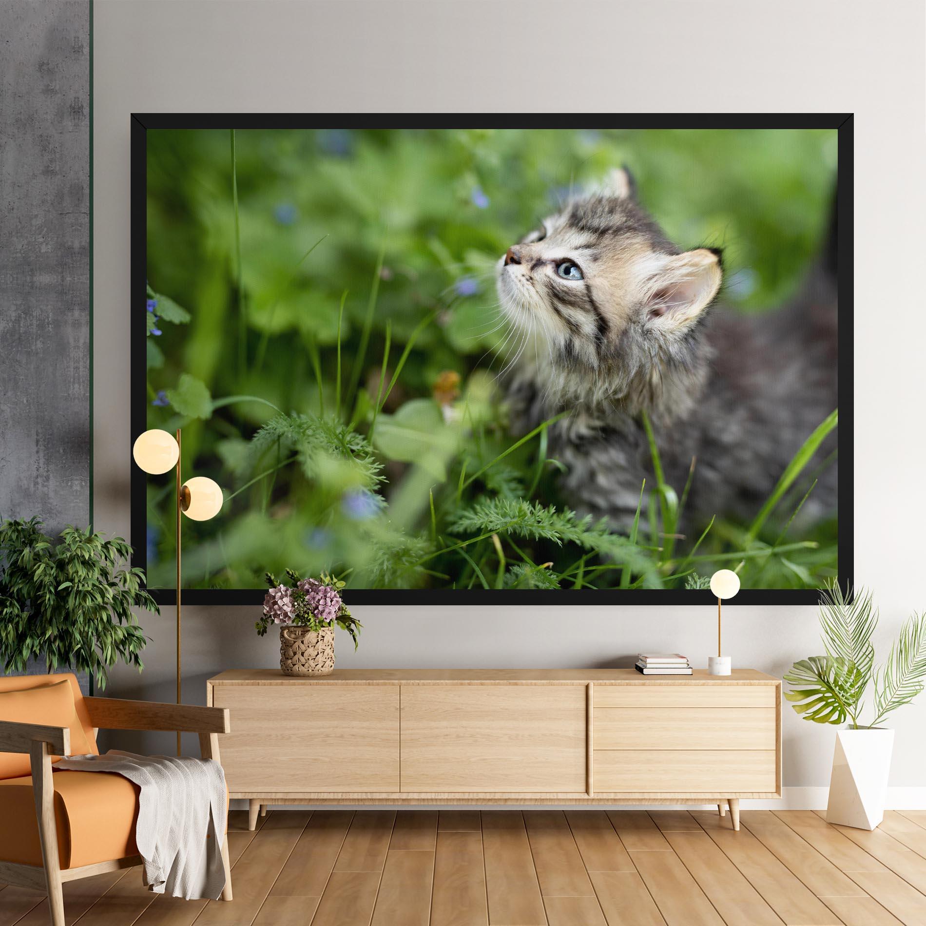 Leinwandbild Brown Baby Cat mockup 9
