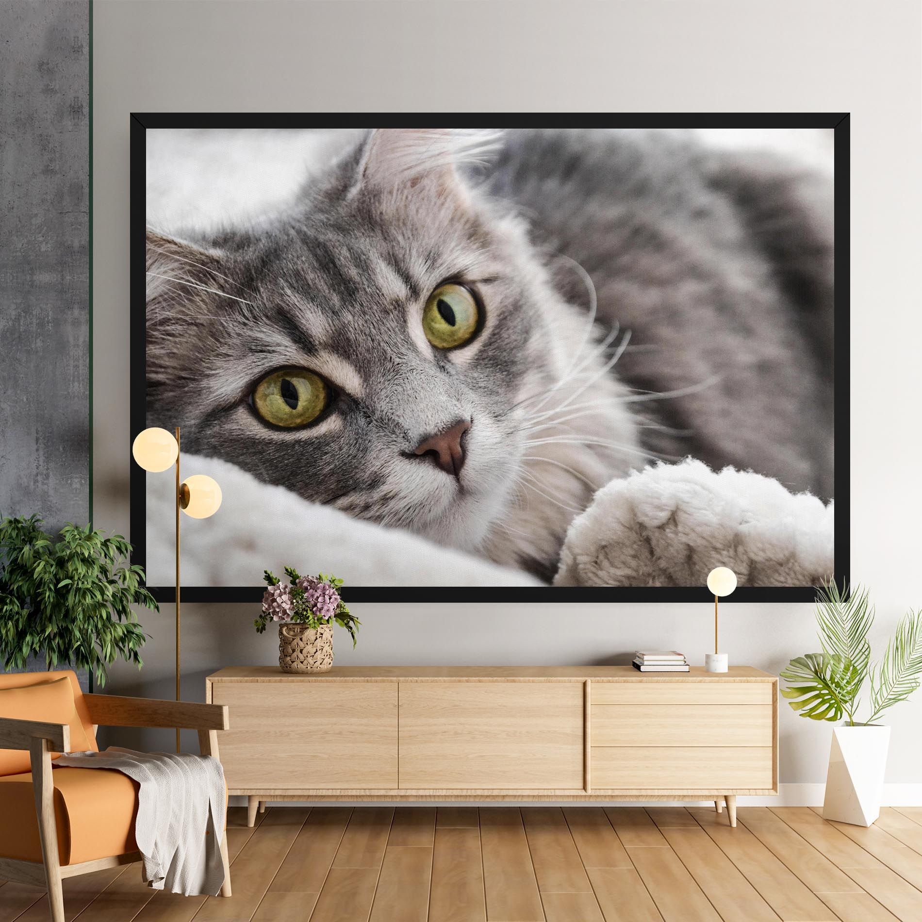 Grey Fluffy Cat mockup 9