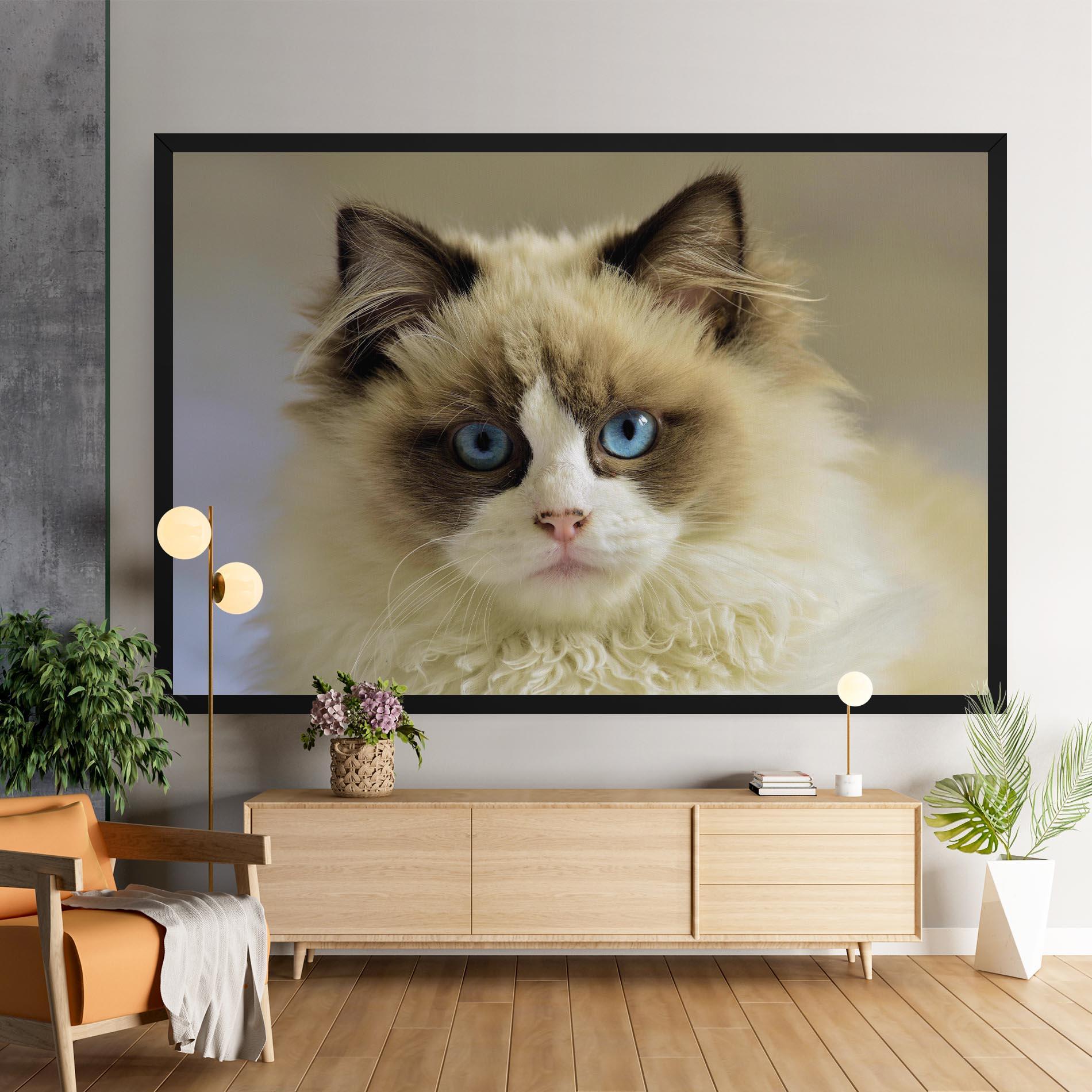 Leinwandbild Interesting Blue Eyes Cat mockup 9