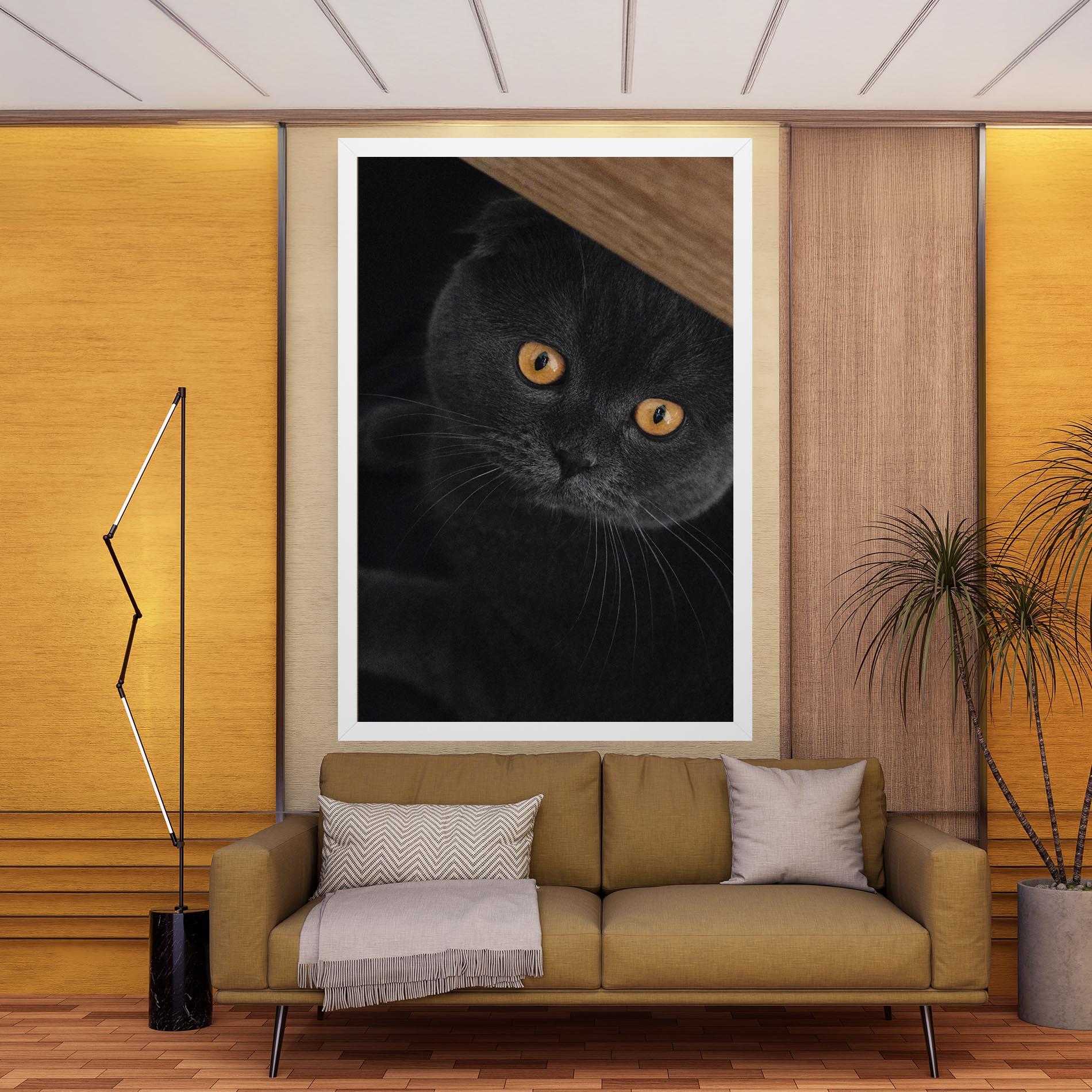 Leinwandbild Grey Cat With Orange Eyes mockup 9