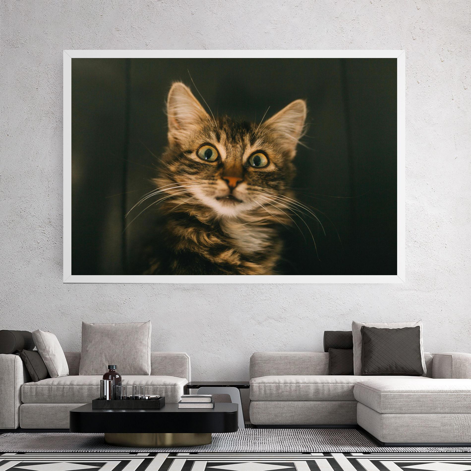 Leinwandbild Amazed Cat mockup 2