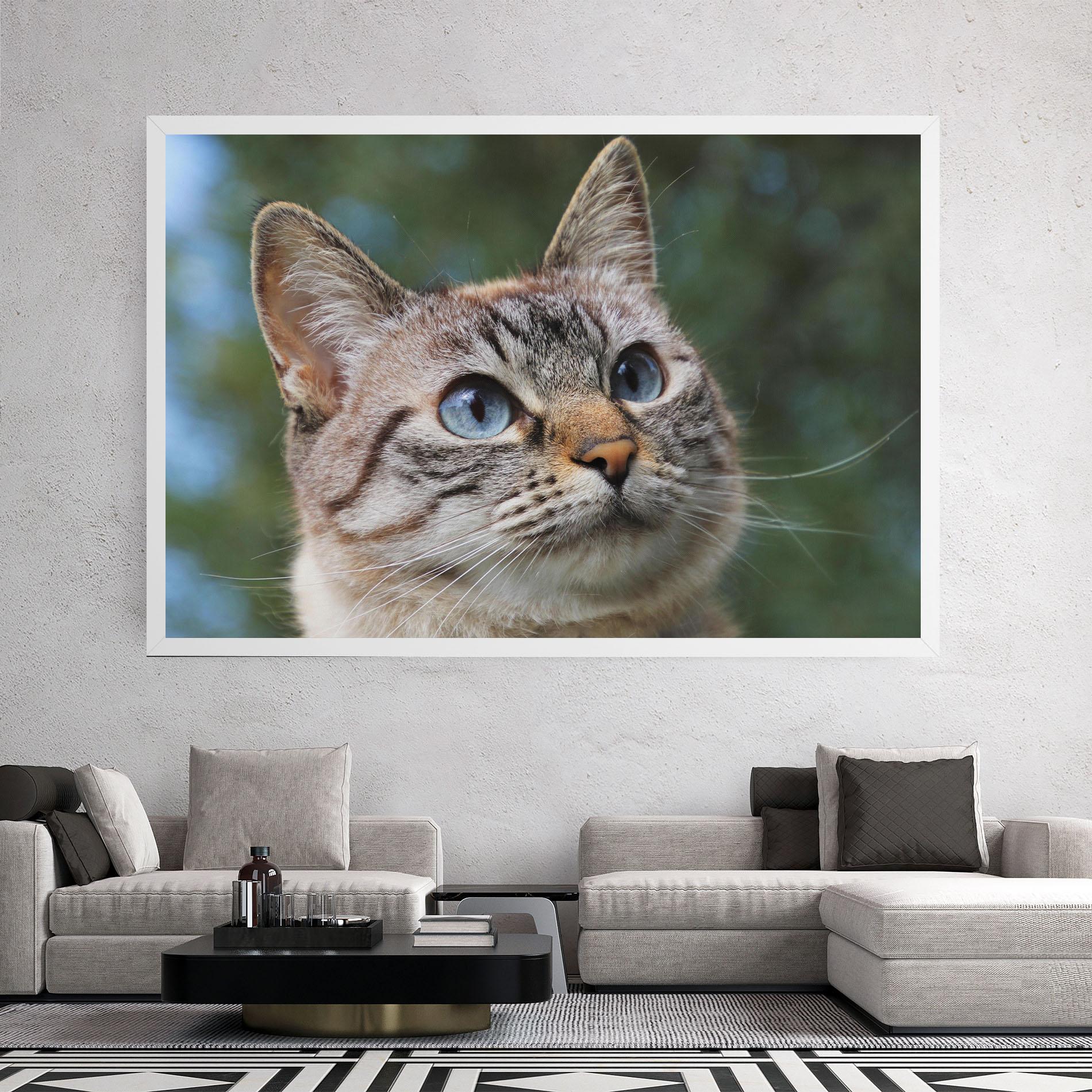 Leinwandbild Blue Eyes Cutie mockup 2