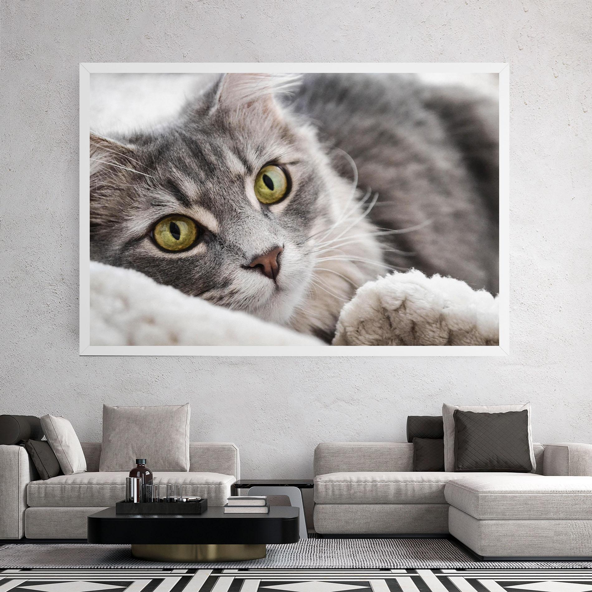 Leinwandbild Grey Fluffy Cat mockup 2