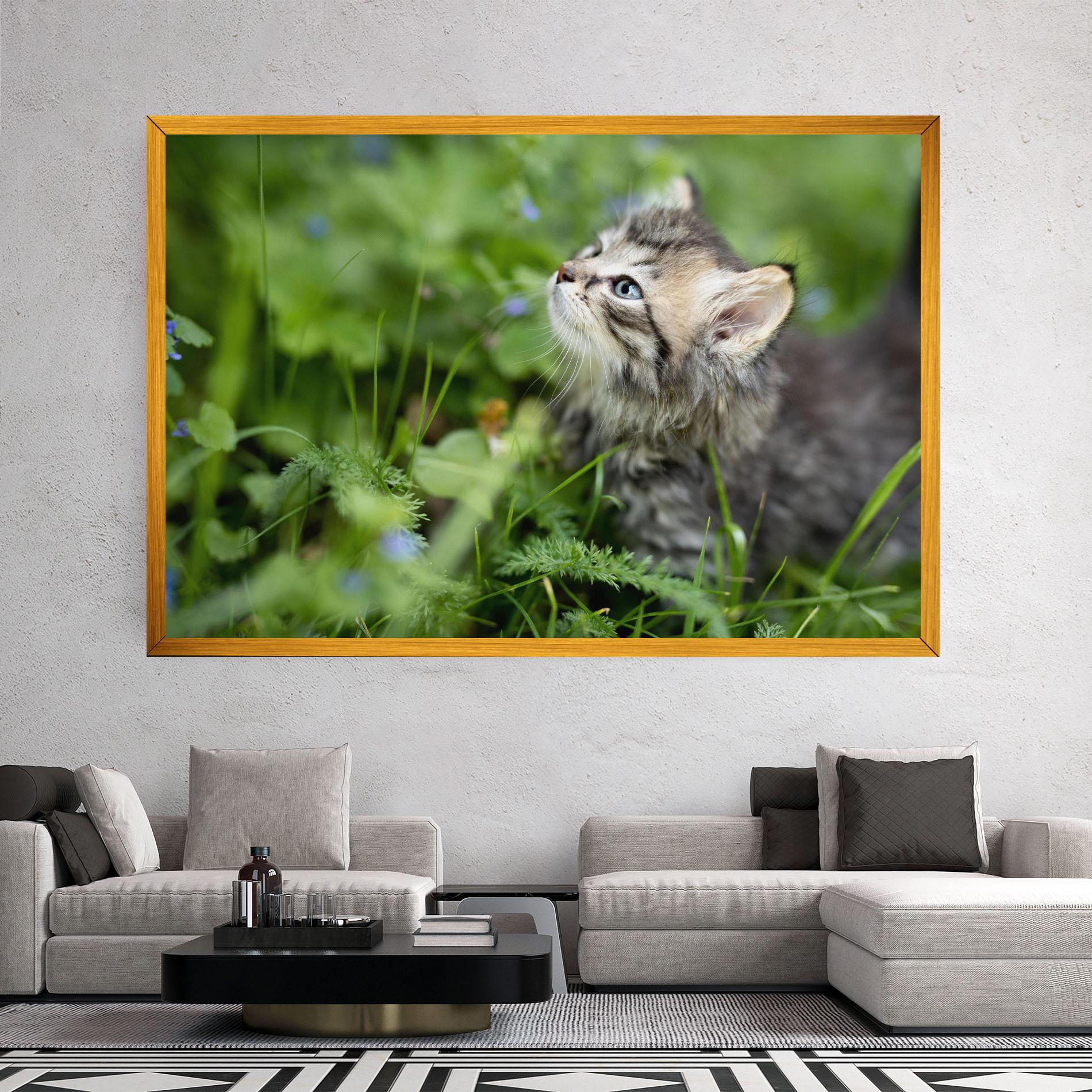 Leinwandbild Brown Baby Cat mockup 2