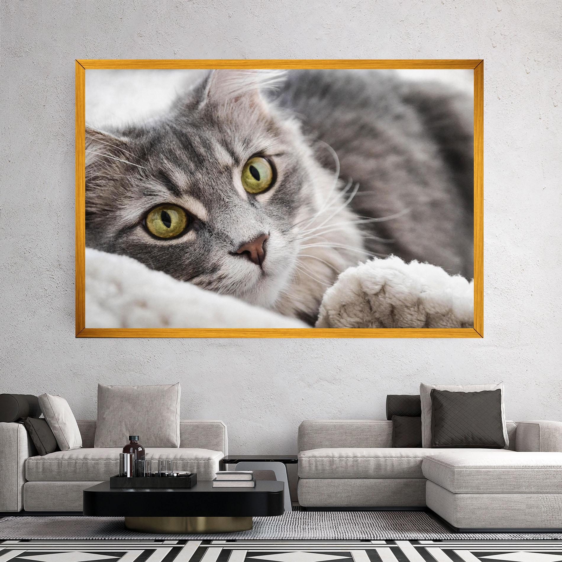 Leinwandbild Grey Fluffy Cat mockup 2