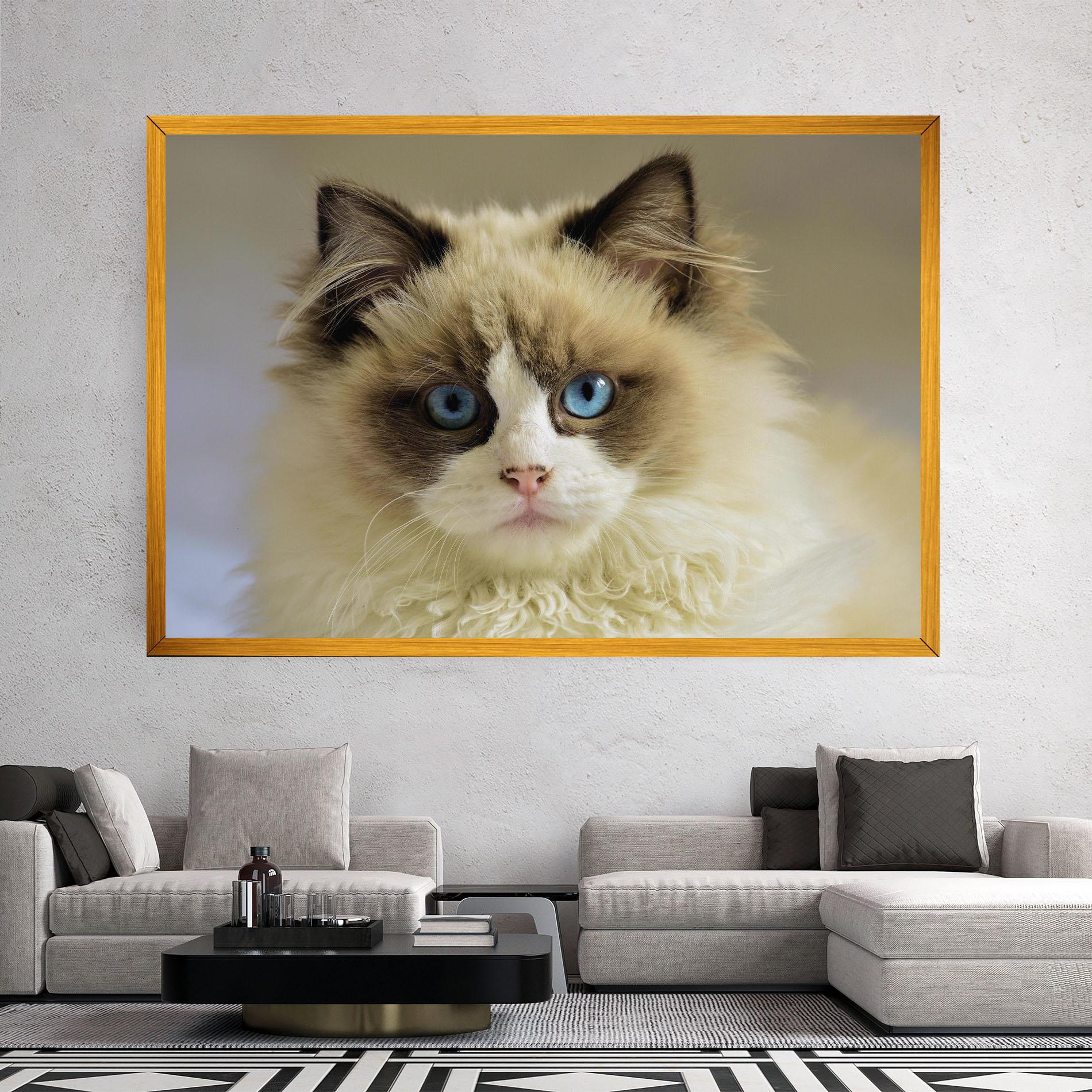 Leinwandbild Interesting Blue Eyes Cat mockup 2