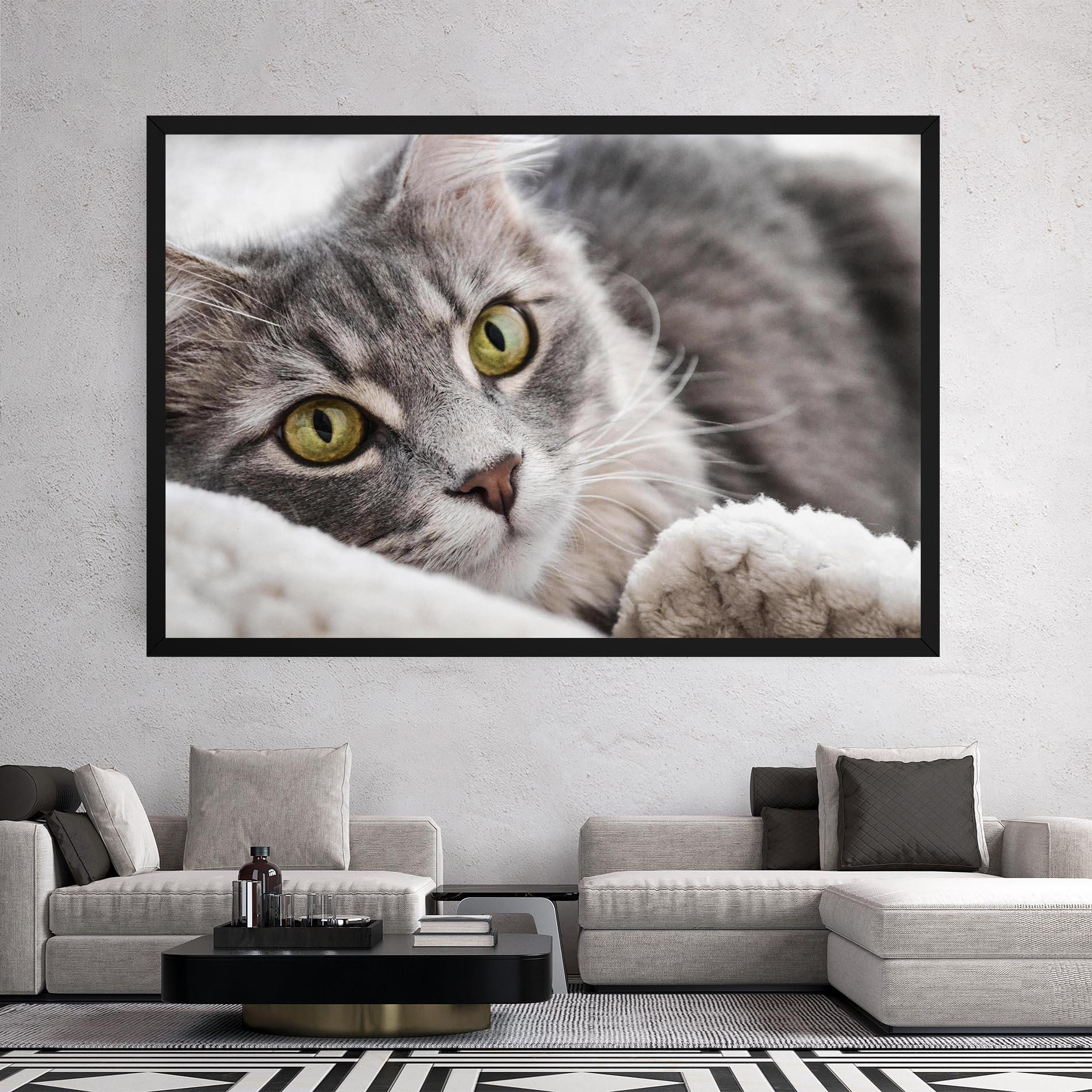 Leinwandbild Grey Fluffy Cat mockup 2