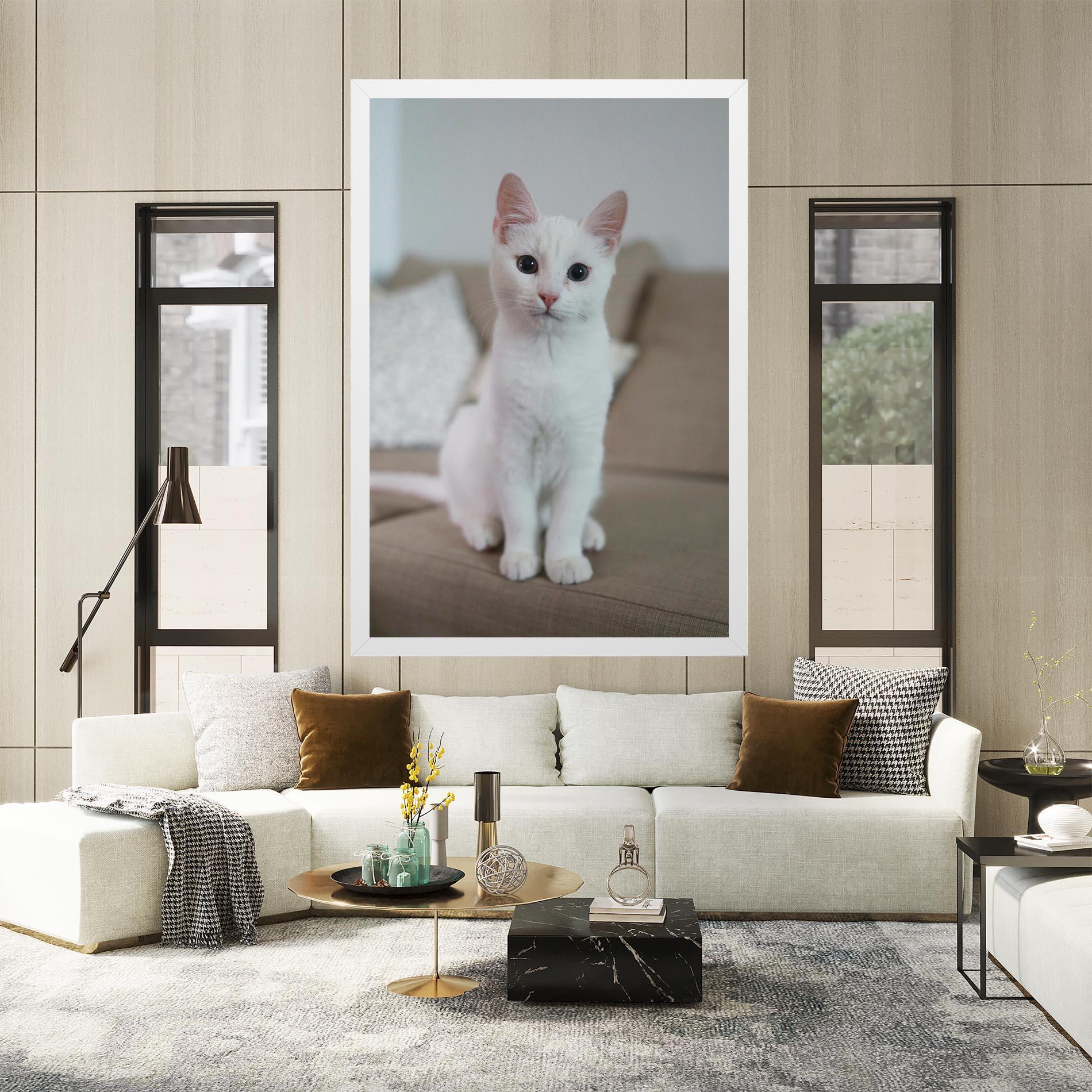 Leinwandbild Beautiful White Cat mockup 2