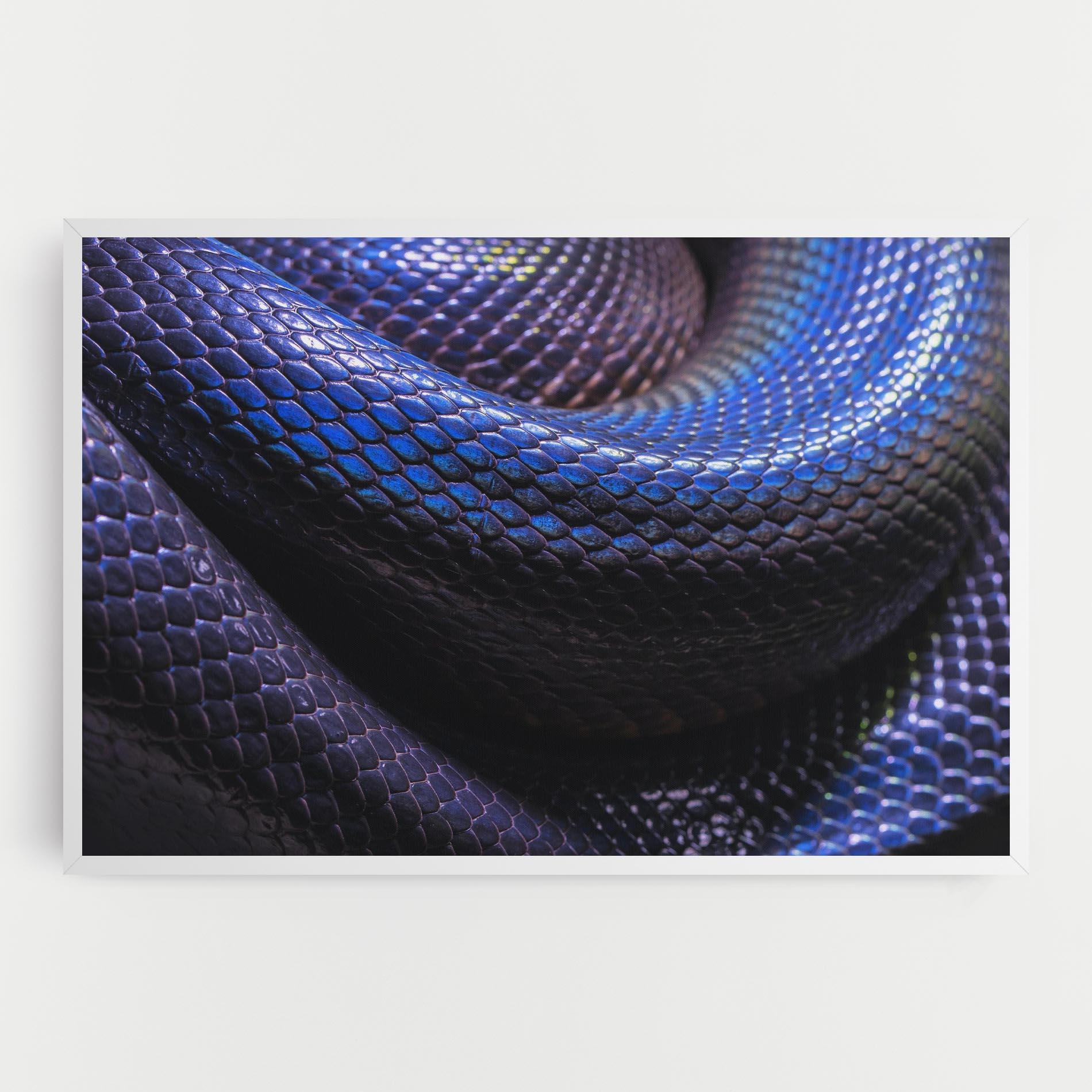 Leinwandbild Snake Skin mockup 0