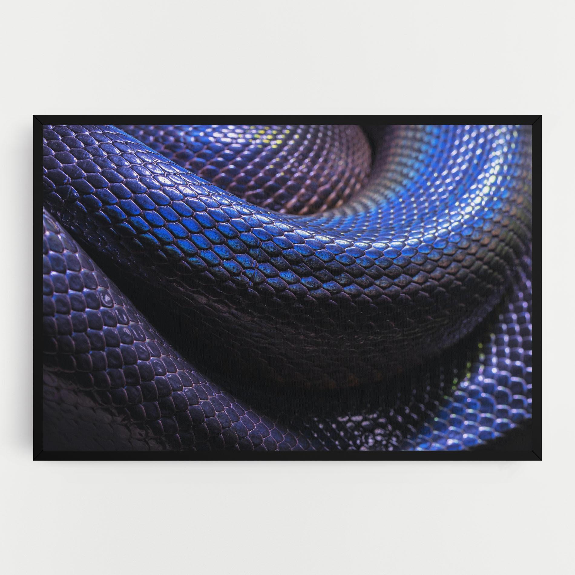 Leinwandbild Snake Skin mockup 0