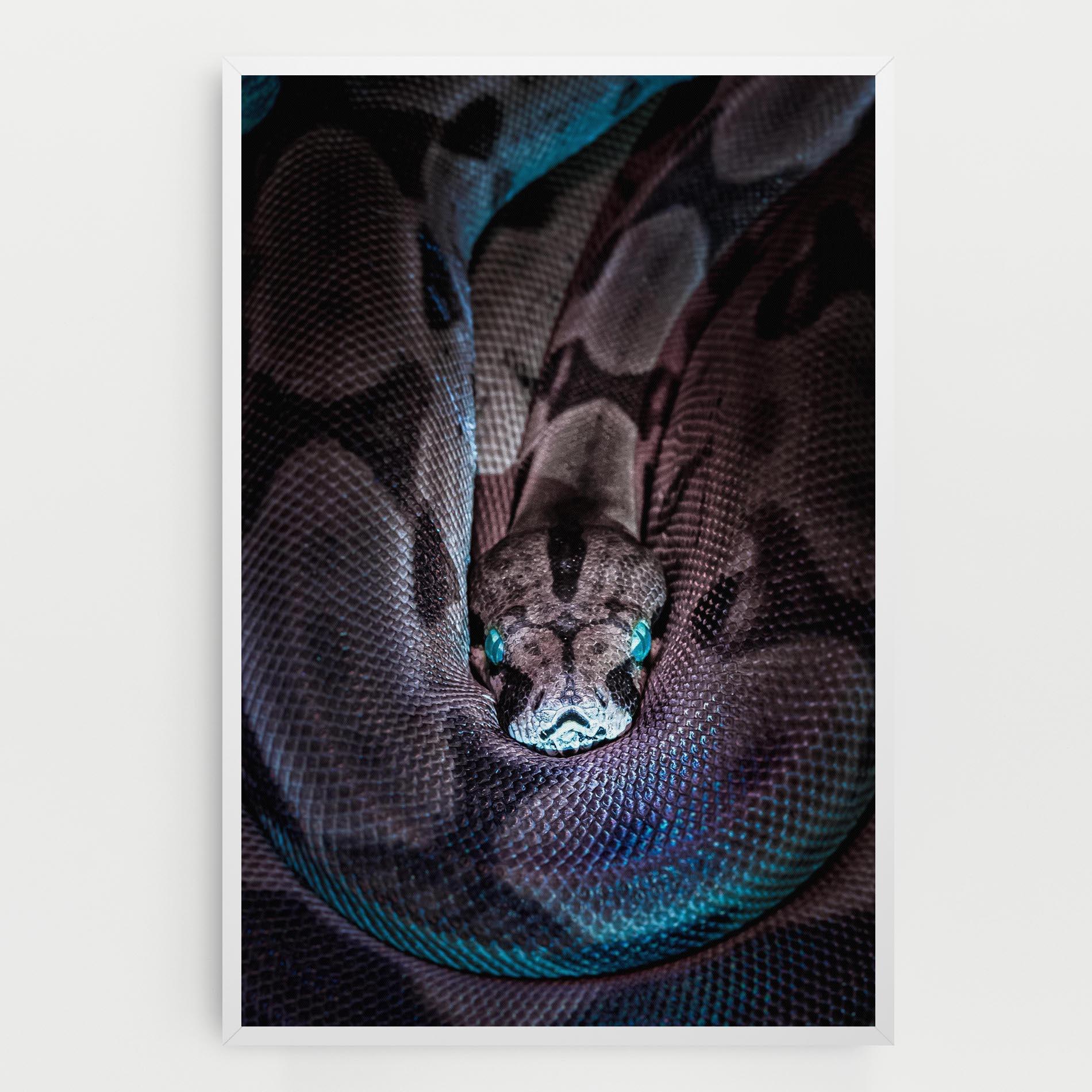 Leinwandbild Vibrant Snake mockup 0