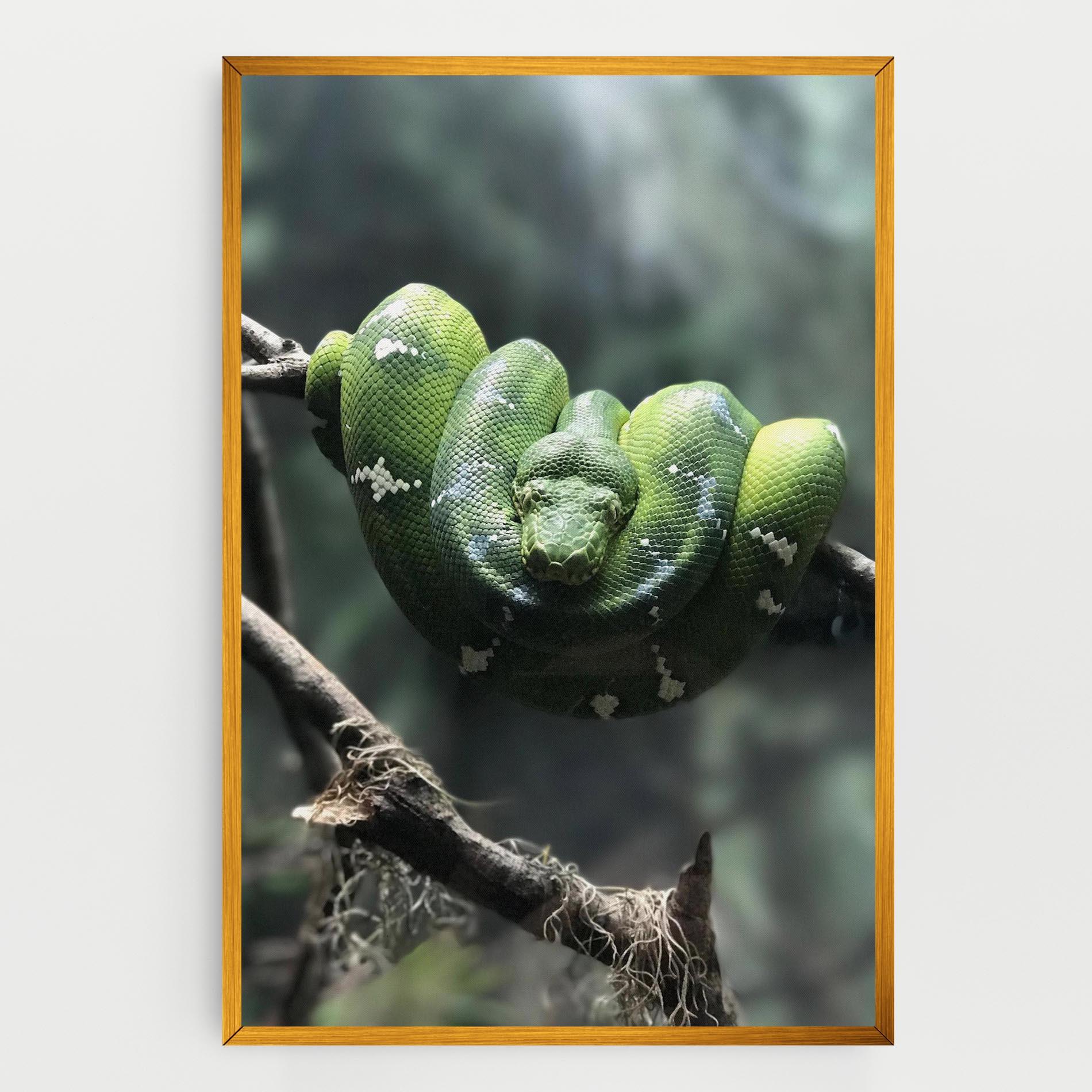 Leinwandbild Sleepy Snake mockup 0