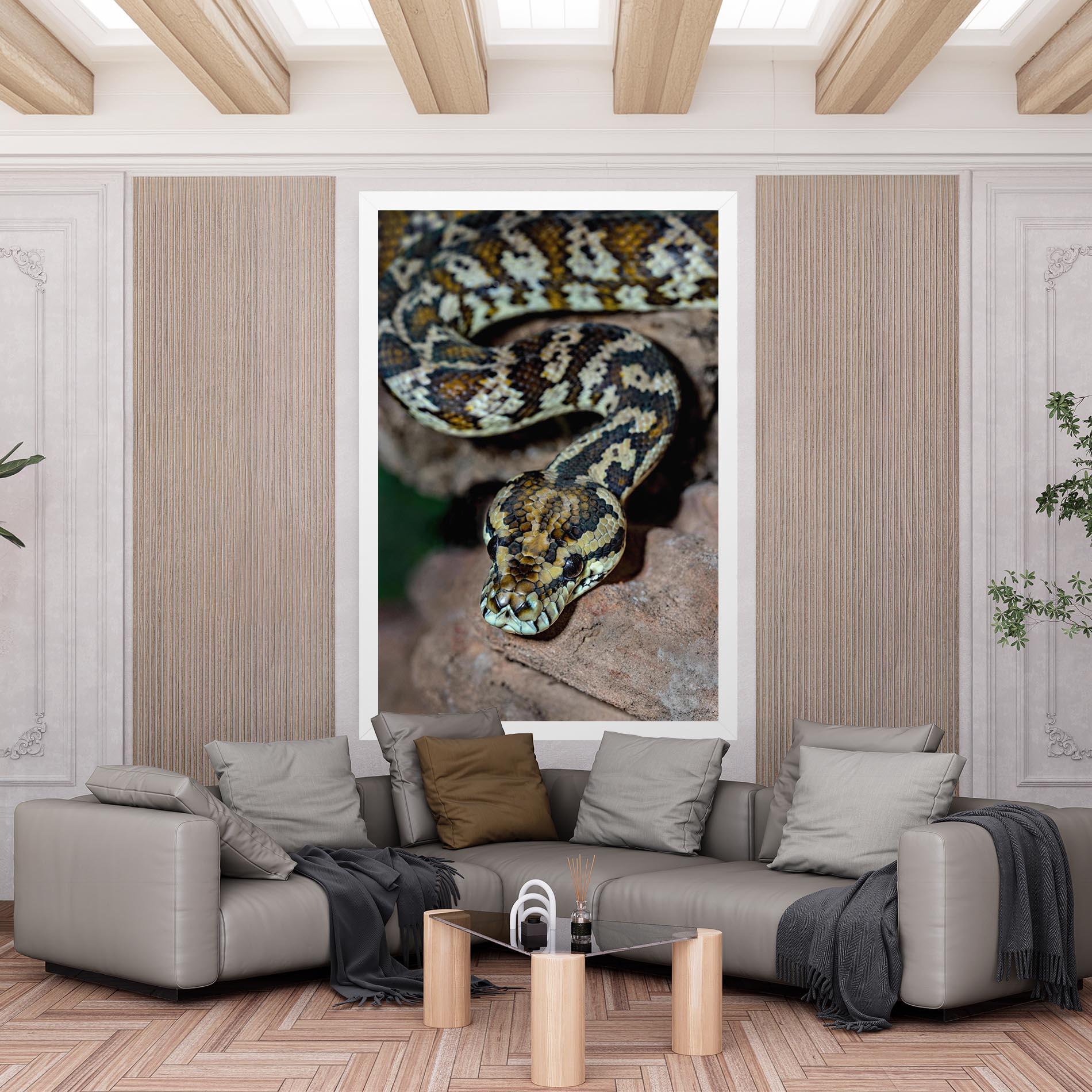 Leinwandbild King Snake mockup 6