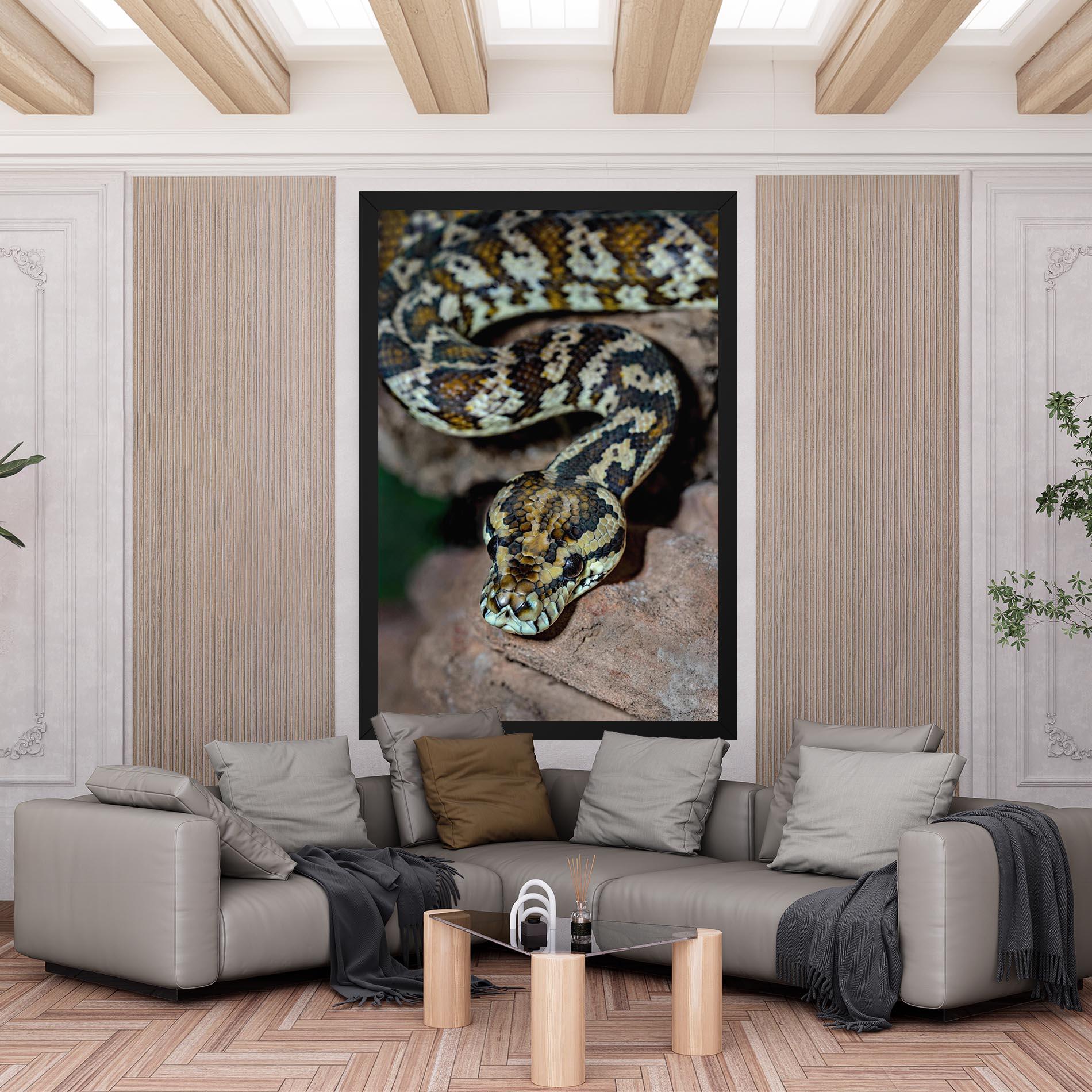 Leinwandbild King Snake mockup 6
