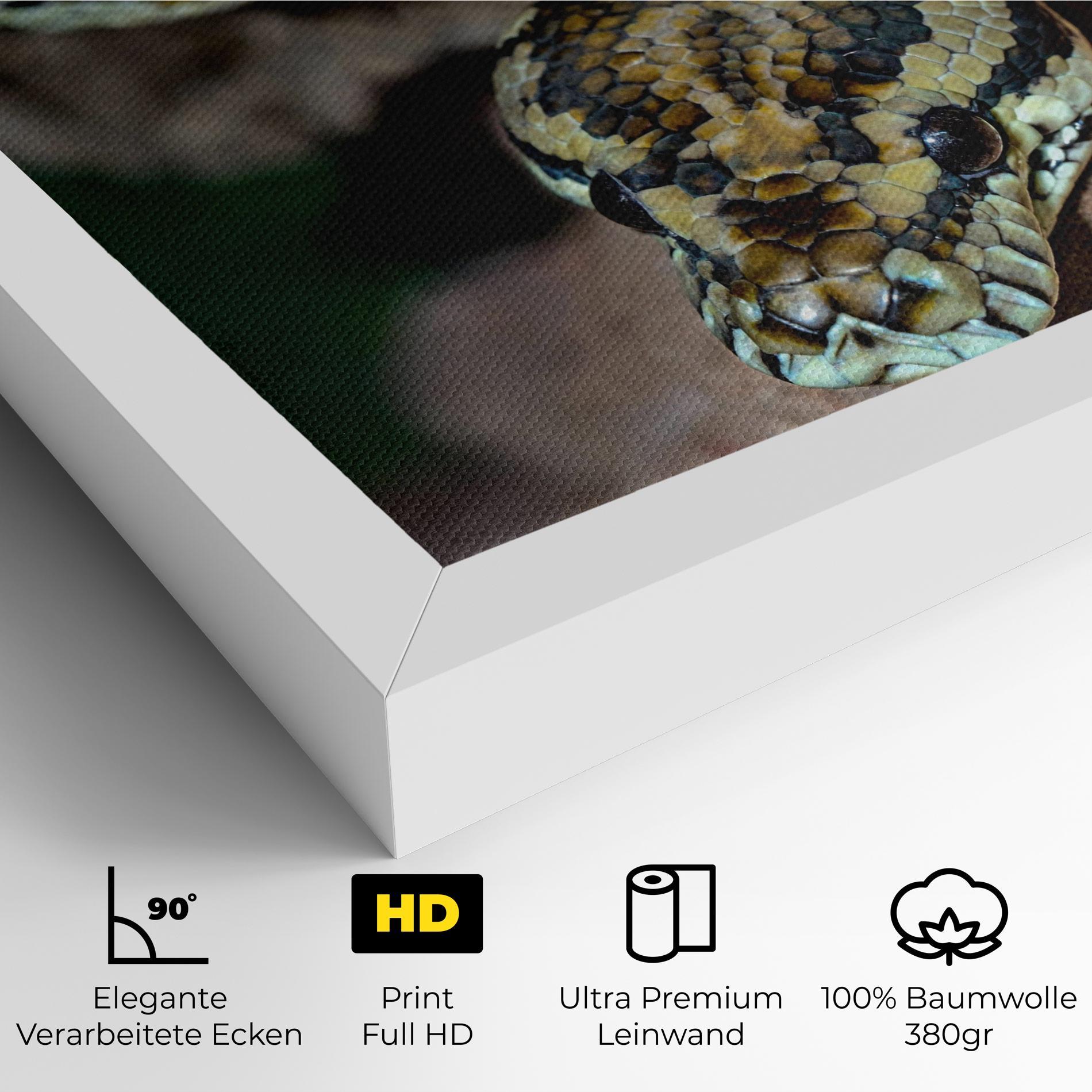 Leinwandbild King Snake mockup 4