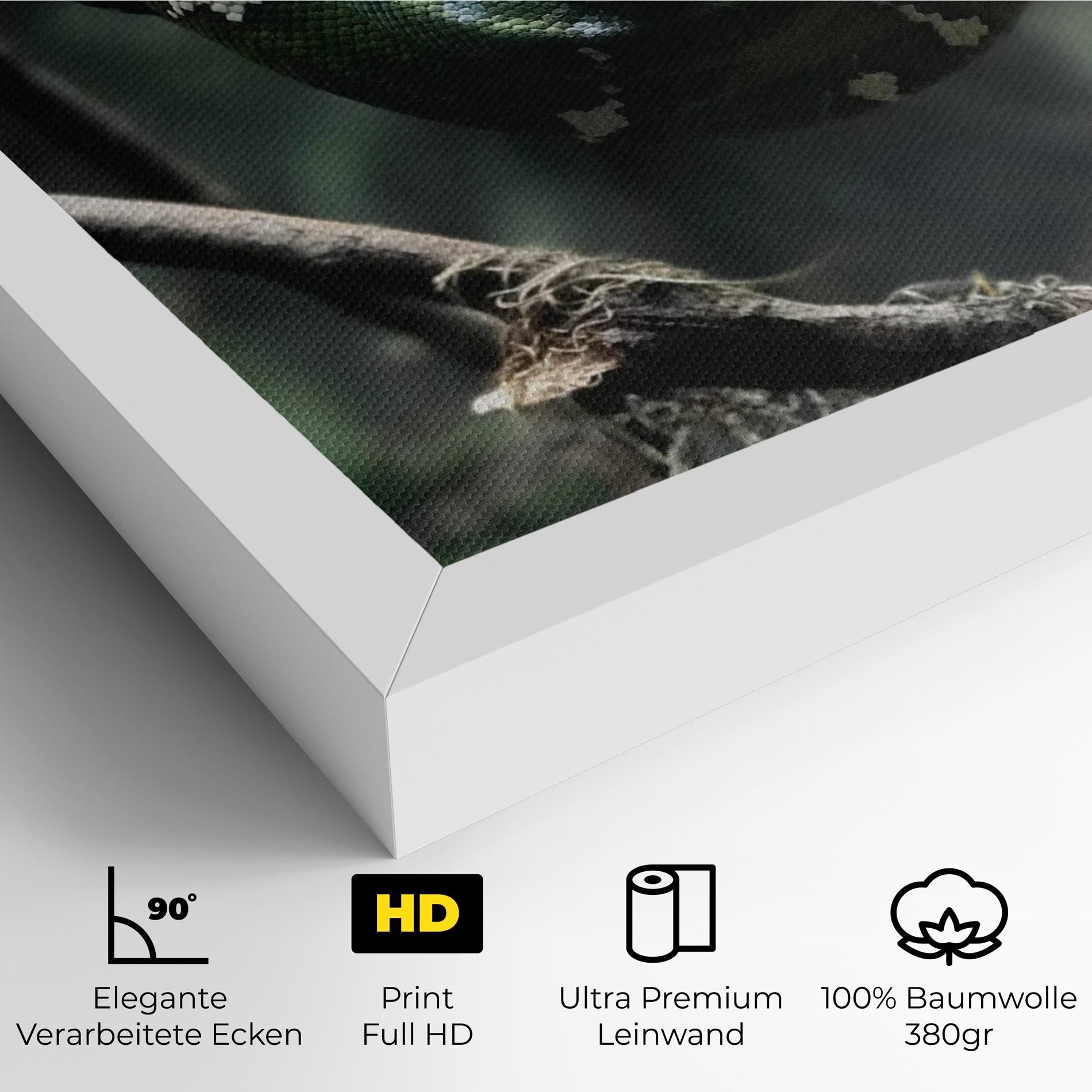 Sleepy Snake mockup 4