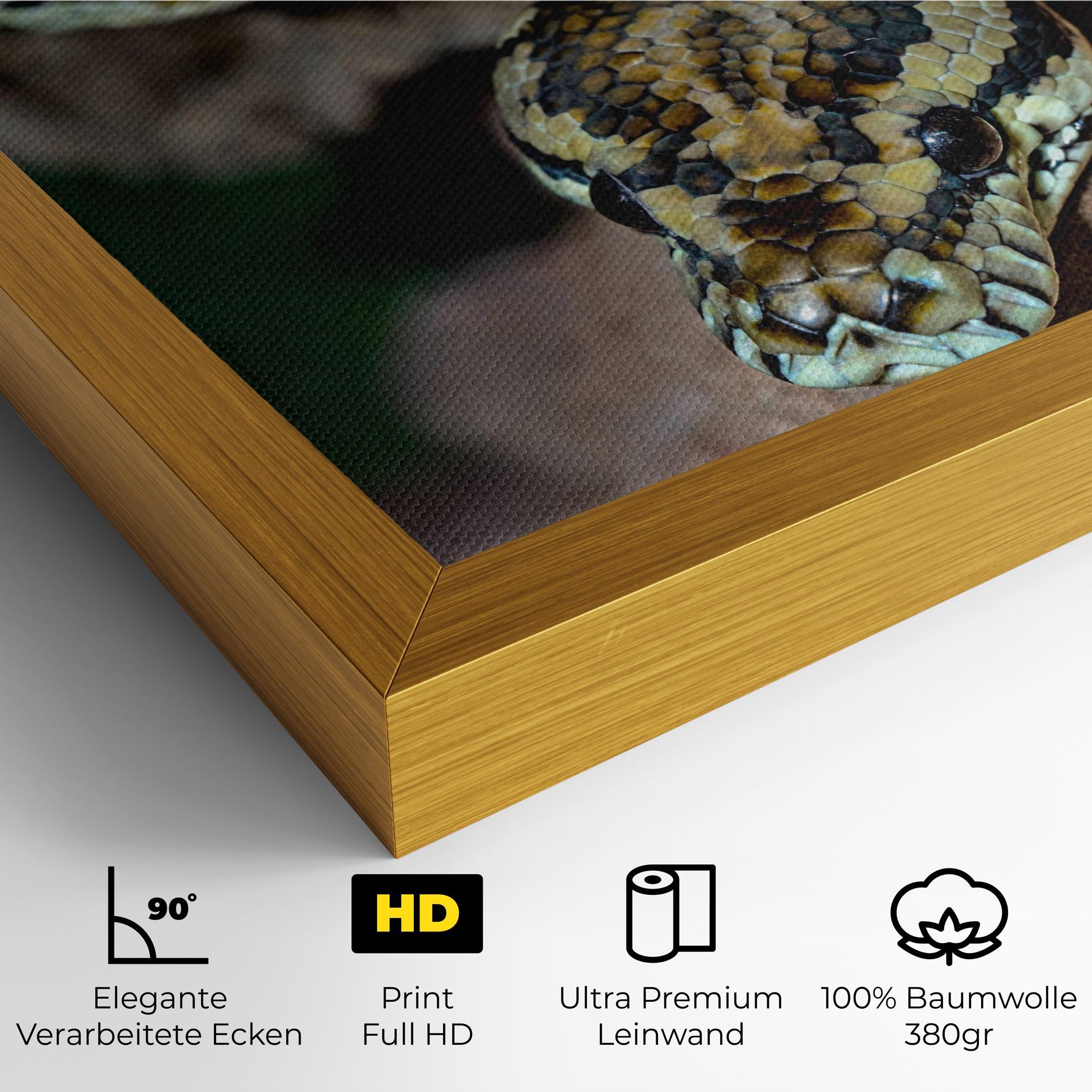 Leinwandbild King Snake mockup 4