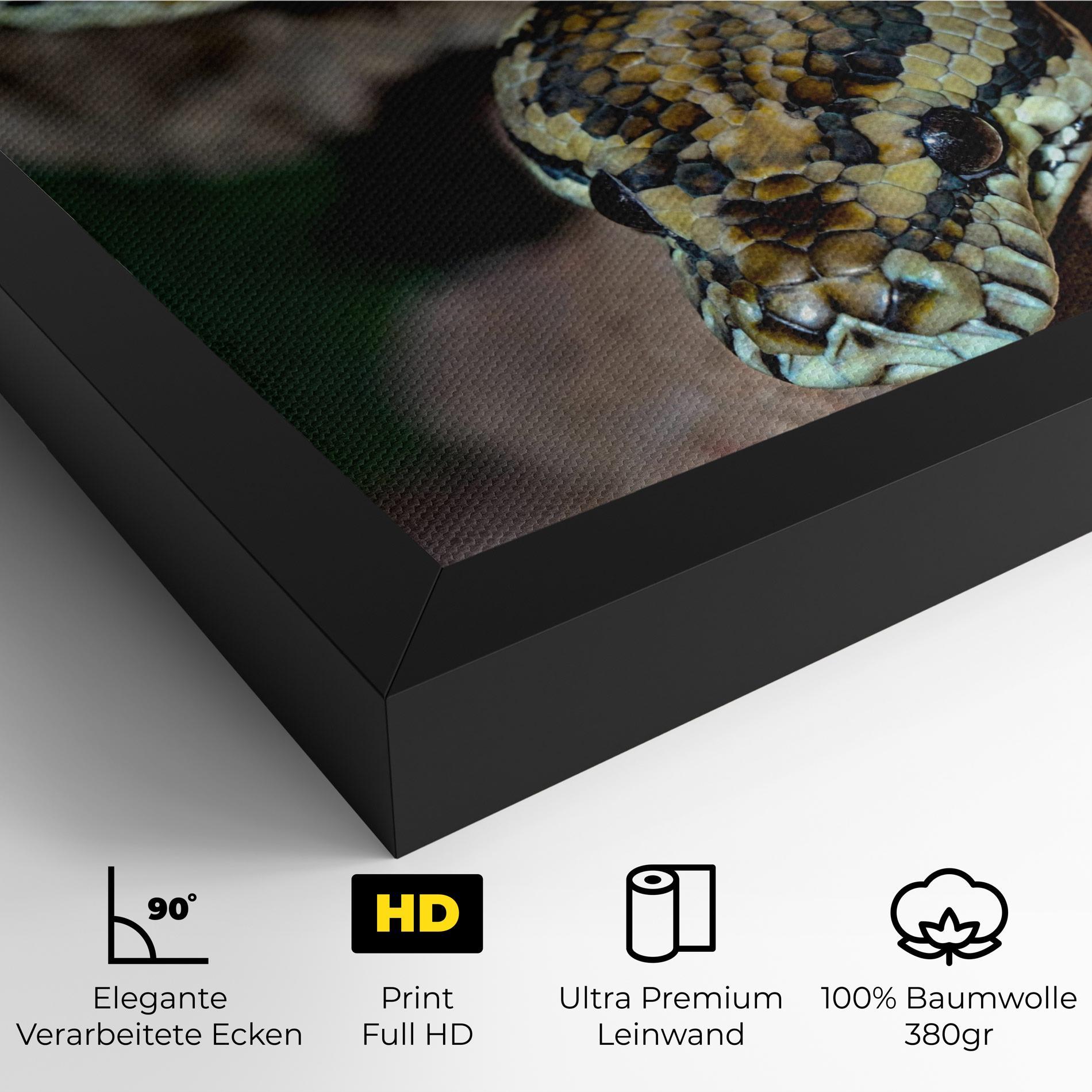 Leinwandbild King Snake mockup 4