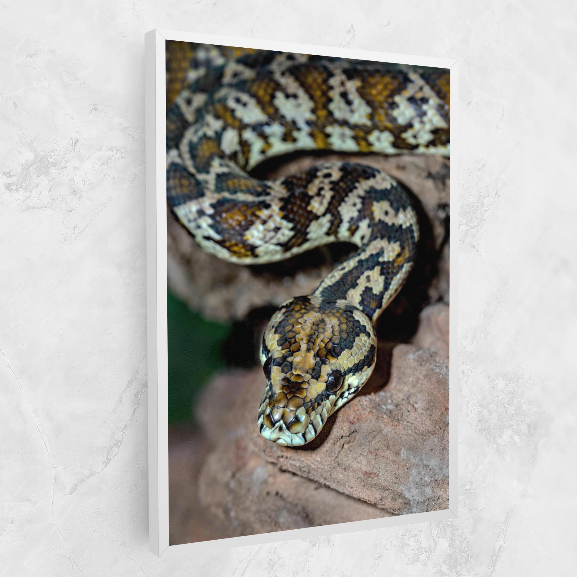 Leinwandbild King Snake mockup 1