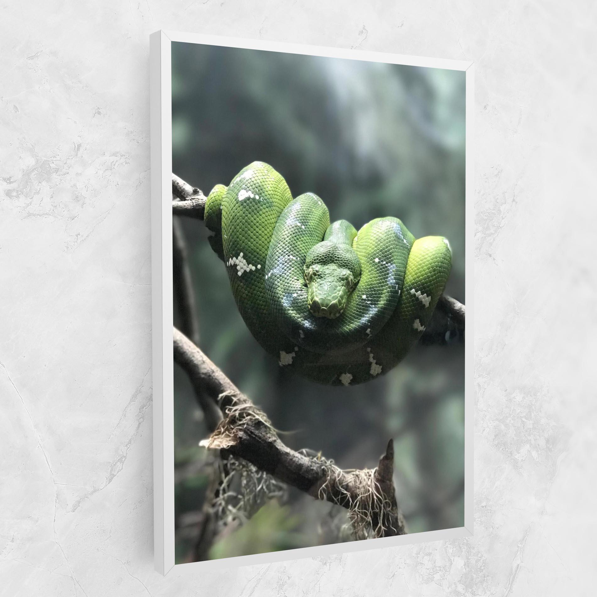 Leinwandbild Sleepy Snake mockup 1