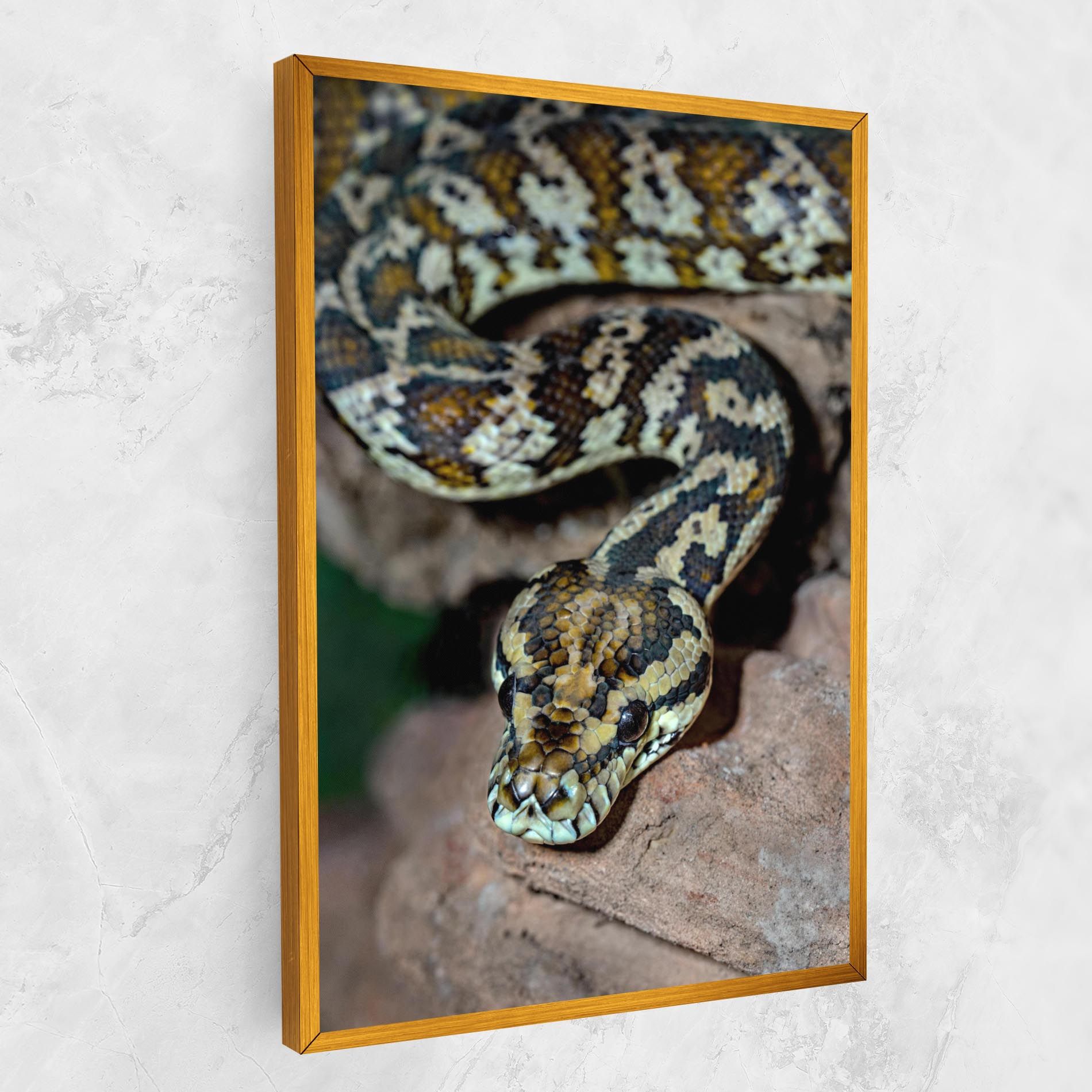 King Snake mockup 1