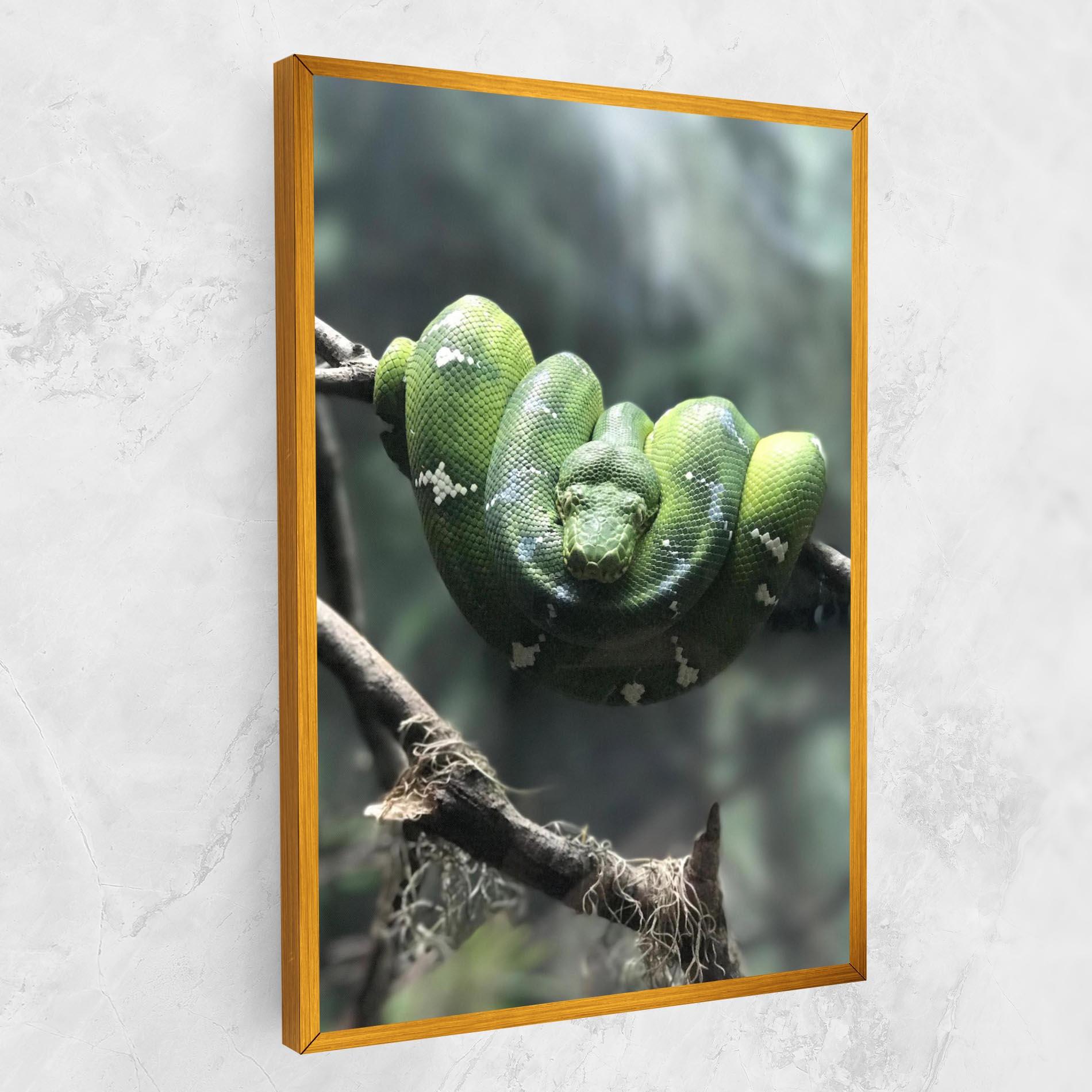 Leinwandbild Sleepy Snake mockup 1