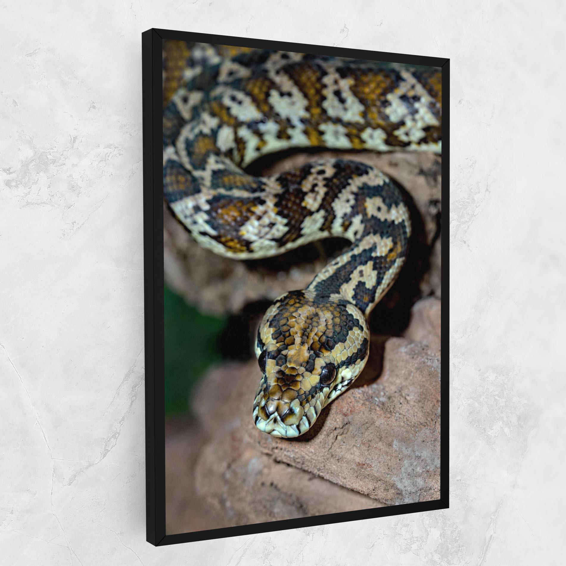 Leinwandbild King Snake mockup 1