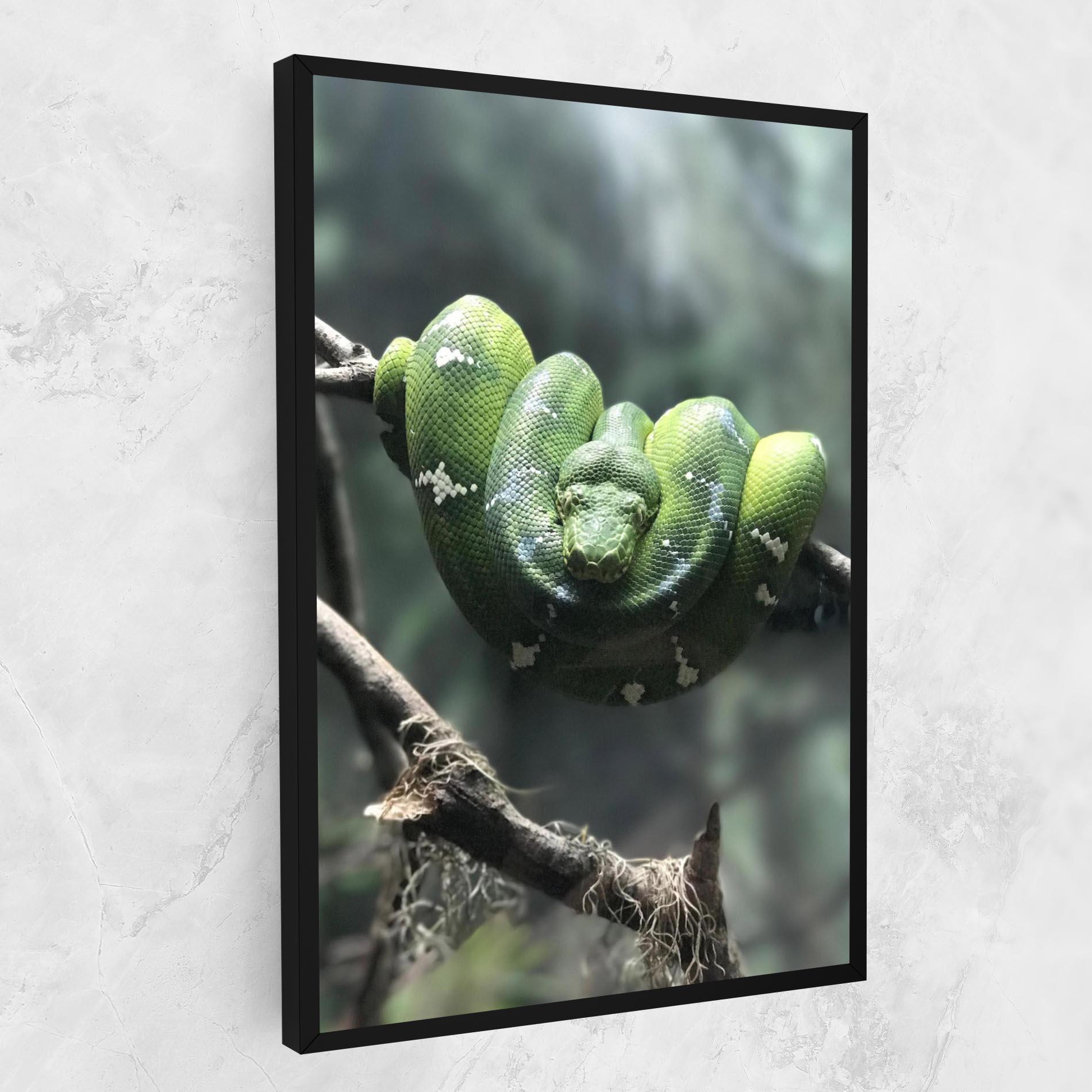 Leinwandbild Sleepy Snake mockup 1