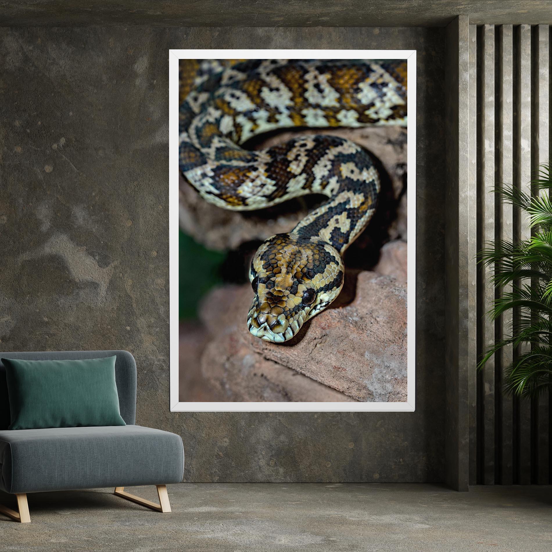 Leinwandbild King Snake mockup 7