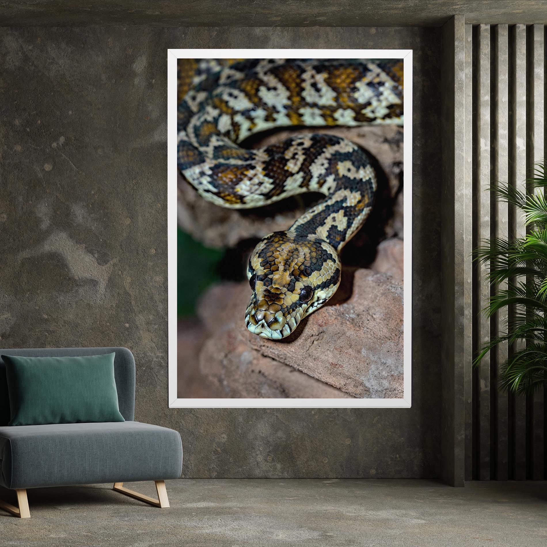 King Snake mockup 7
