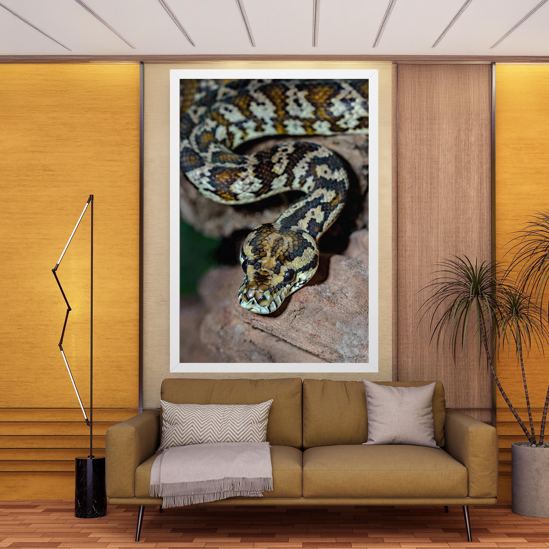 Leinwandbild King Snake mockup 9