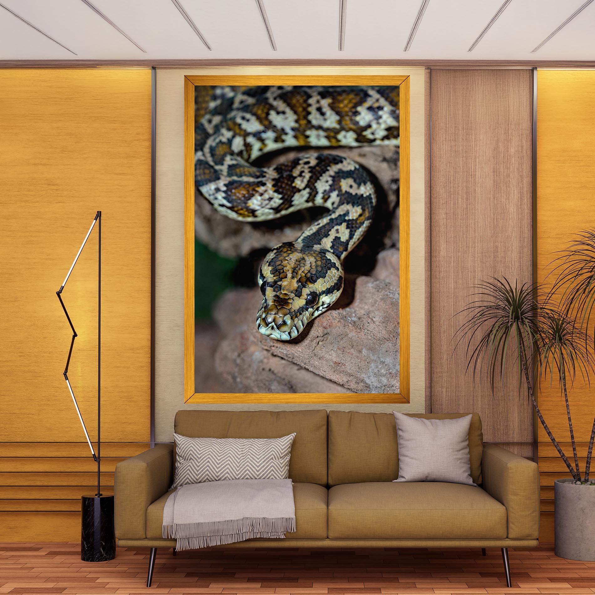 Leinwandbild King Snake mockup 9