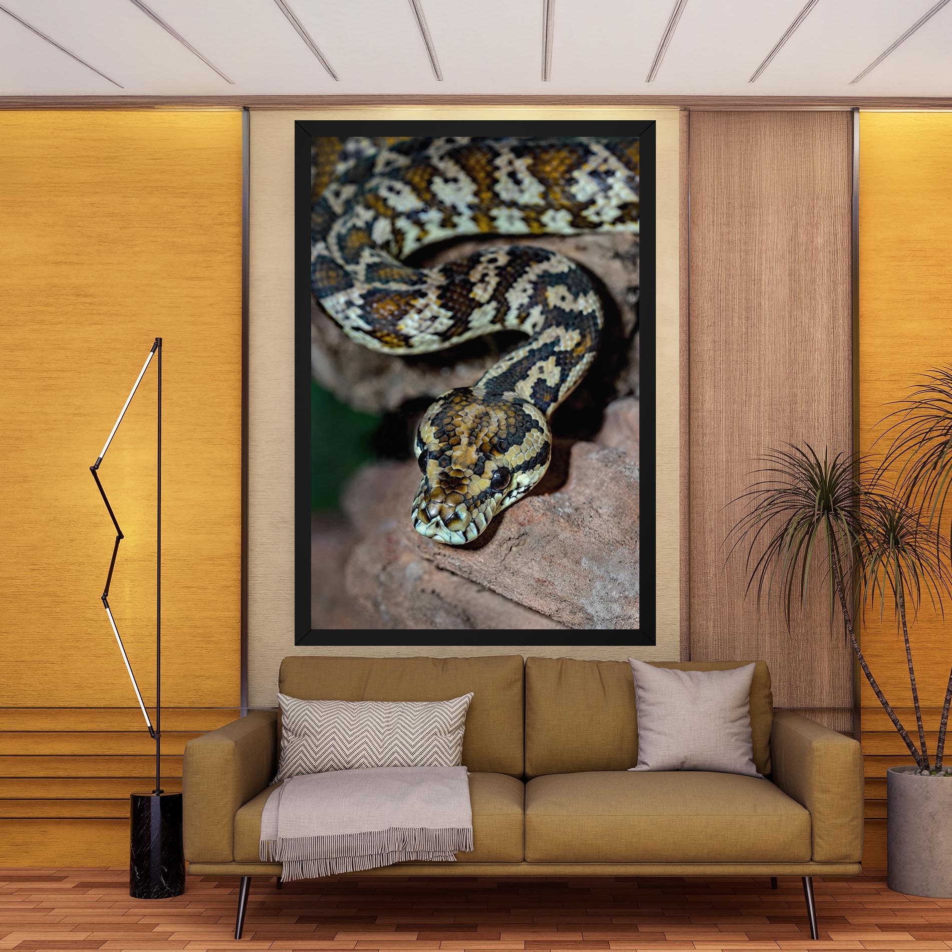 Leinwandbild King Snake mockup 9