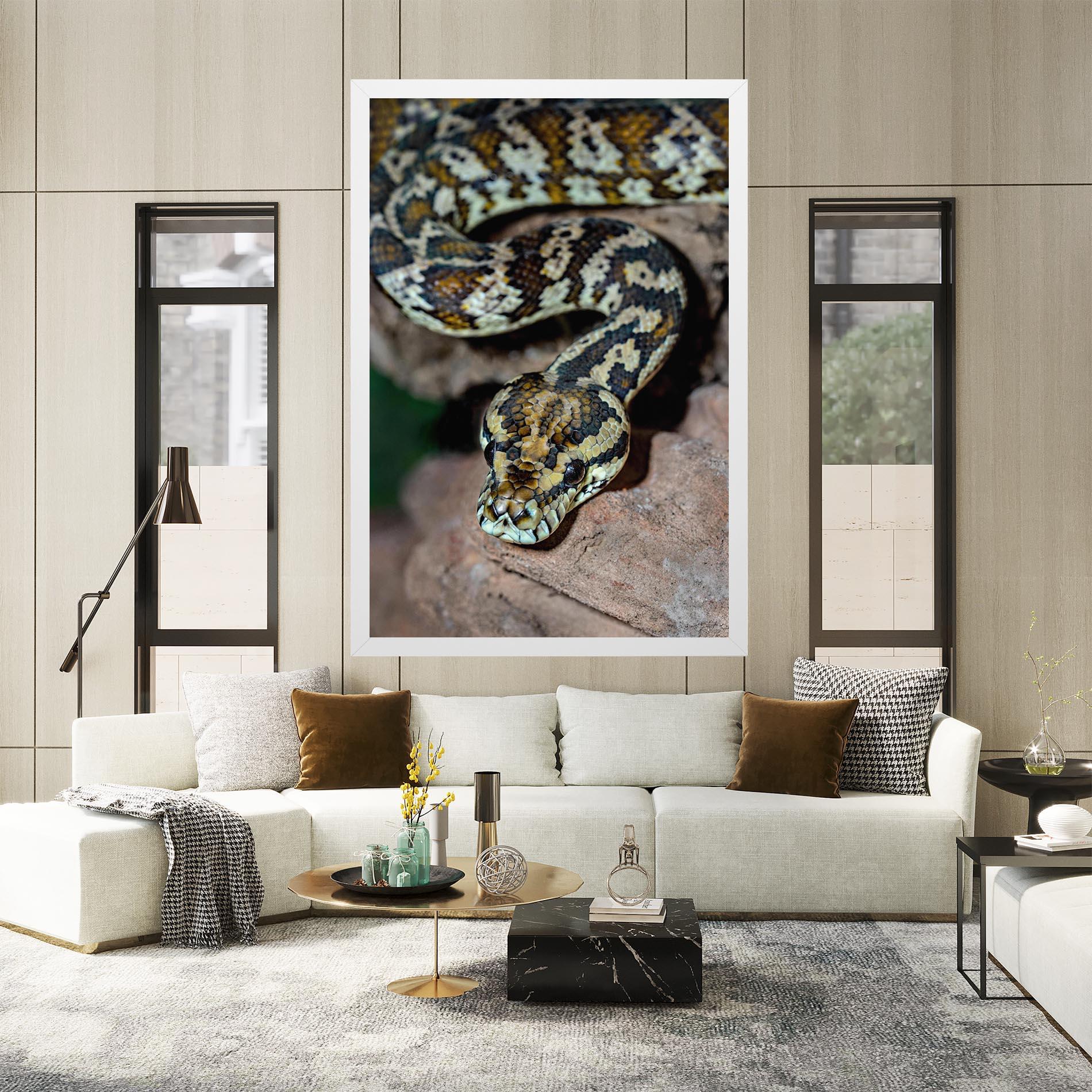 Leinwandbild King Snake mockup 2