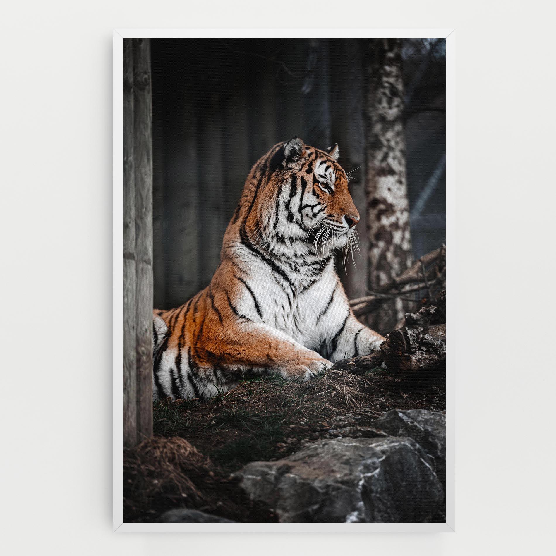 Leinwandbild Forest Tiger mockup 0