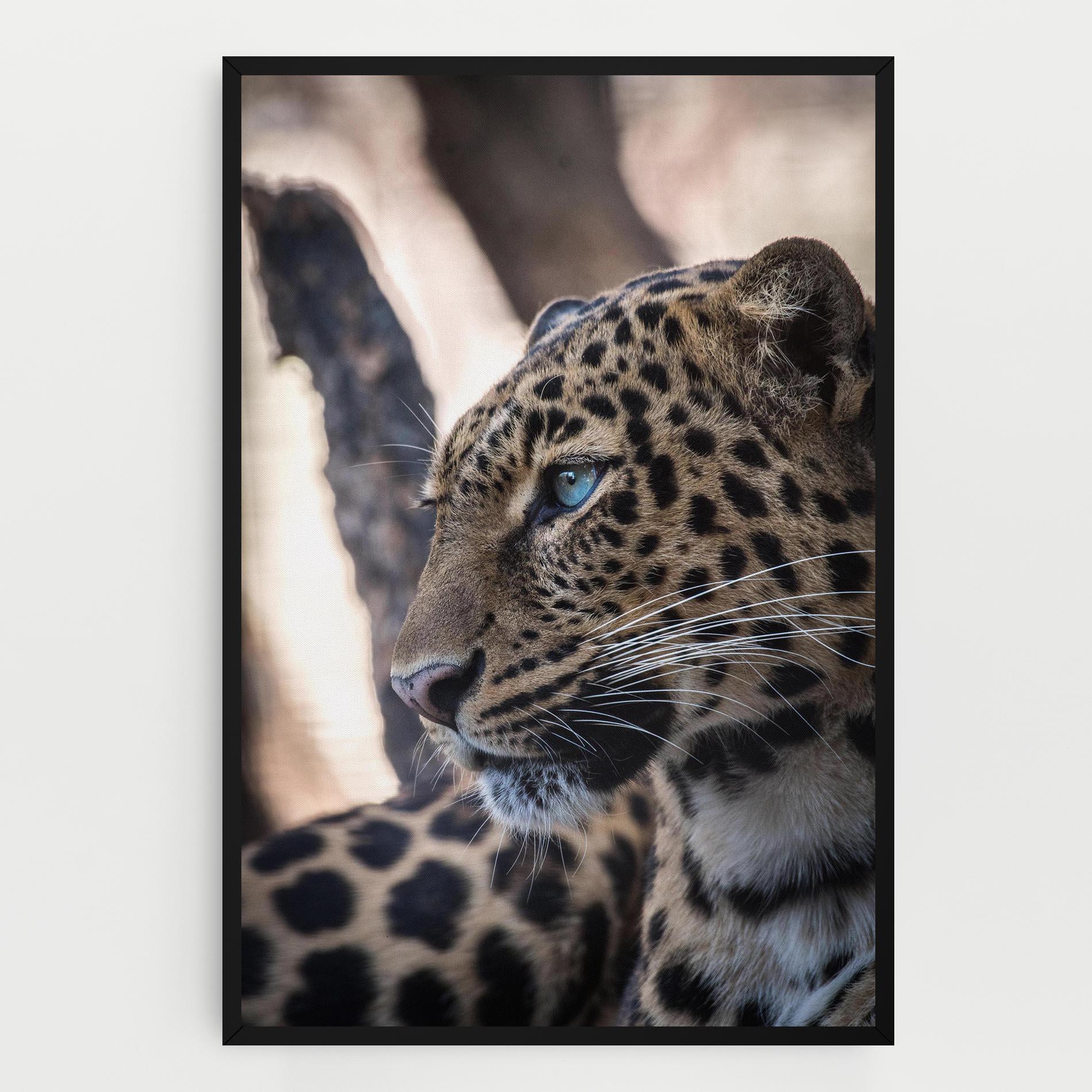 Leinwandbild Blue Tiger mockup 0